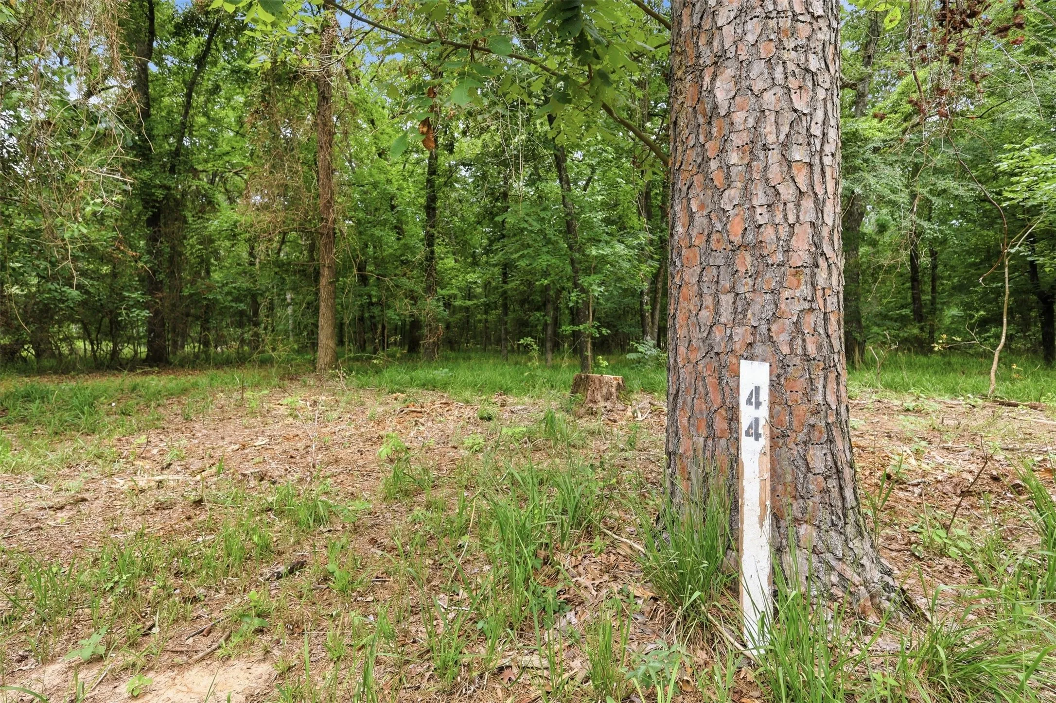 Unimproved Land For Sale in Franklin (TX) County , Lot 44 Sterling Shores Drive, Scroggins, Texas 75480, 0, 0, Garage spaces, 0 Sqft, built in 0, mls#21275960, Real Estate Agent in Scroggins, Homes For Sale in Franklin (TX) county, Homes For Sale in Scroggins, Realtor in Scroggins Texas, Real Estate Brokerage Independent Realty Texas, Luminita Cordes Realtor