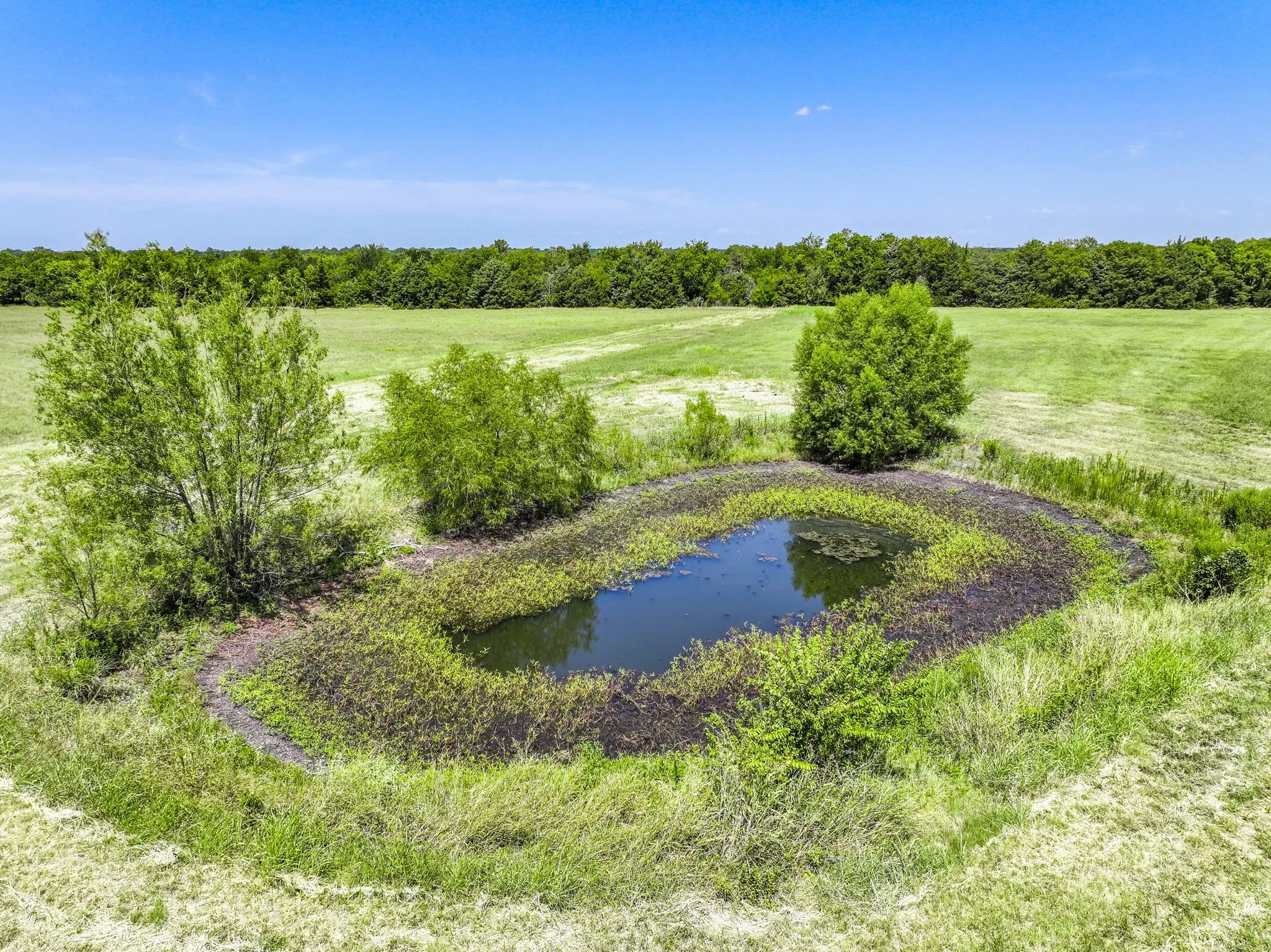 Improved Land For Sale in Hunt County , 5726 County Road 4100, Greenville, Texas 75401, 0, 0, Garage spaces, 0 Sqft, built in 0, Price $2,352,000, mls#21363733, Real Estate Agent in Greenville, Homes For Sale in Hunt county, Homes For Sale in Greenville, Realtor in Greenville Texas, Real Estate Brokerage Independent Realty Texas, Luminita Cordes Realtor