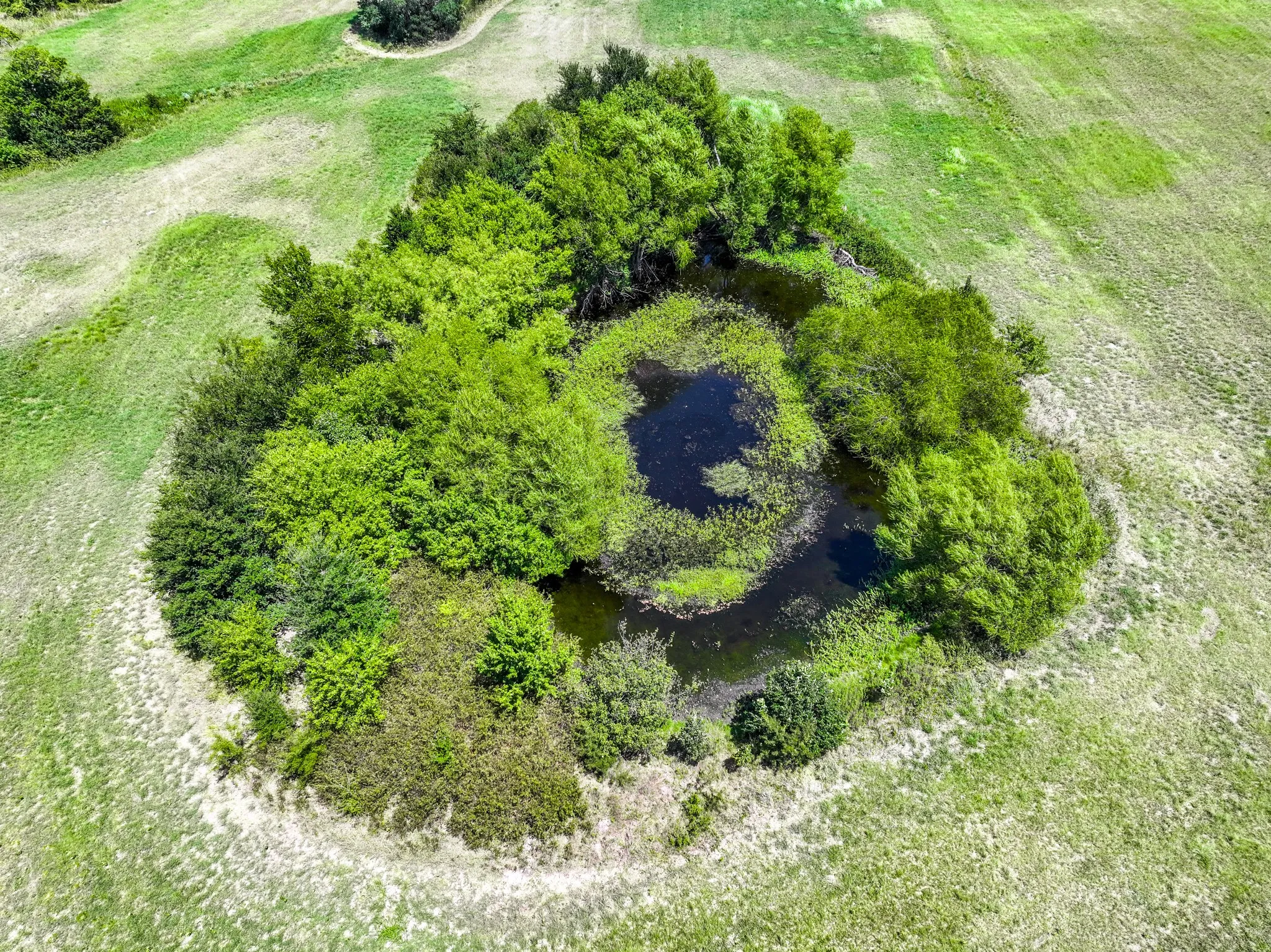 Improved Land For Sale in Hunt County , 5726 County Road 4100, Greenville, Texas 75401, 0, 0, Garage spaces, 0 Sqft, built in 0, Price $2,352,000, mls#21363733, Real Estate Agent in Greenville, Homes For Sale in Hunt county, Homes For Sale in Greenville, Realtor in Greenville Texas, Real Estate Brokerage Independent Realty Texas, Luminita Cordes Realtor