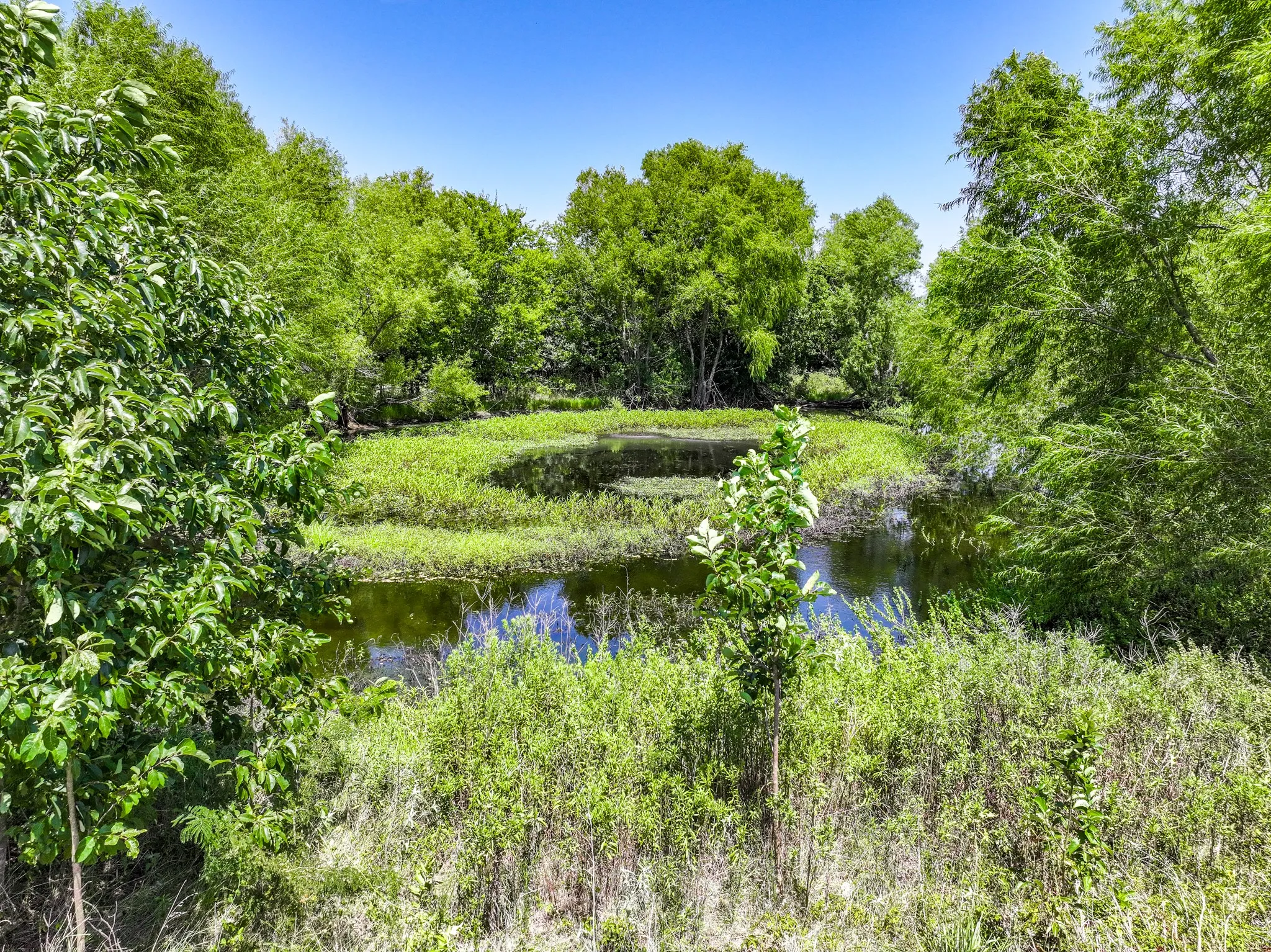 Improved Land For Sale in Hunt County , 5726 County Road 4100, Greenville, Texas 75401, 0, 0, Garage spaces, 0 Sqft, built in 0, Price $2,352,000, mls#21363733, Real Estate Agent in Greenville, Homes For Sale in Hunt county, Homes For Sale in Greenville, Realtor in Greenville Texas, Real Estate Brokerage Independent Realty Texas, Luminita Cordes Realtor