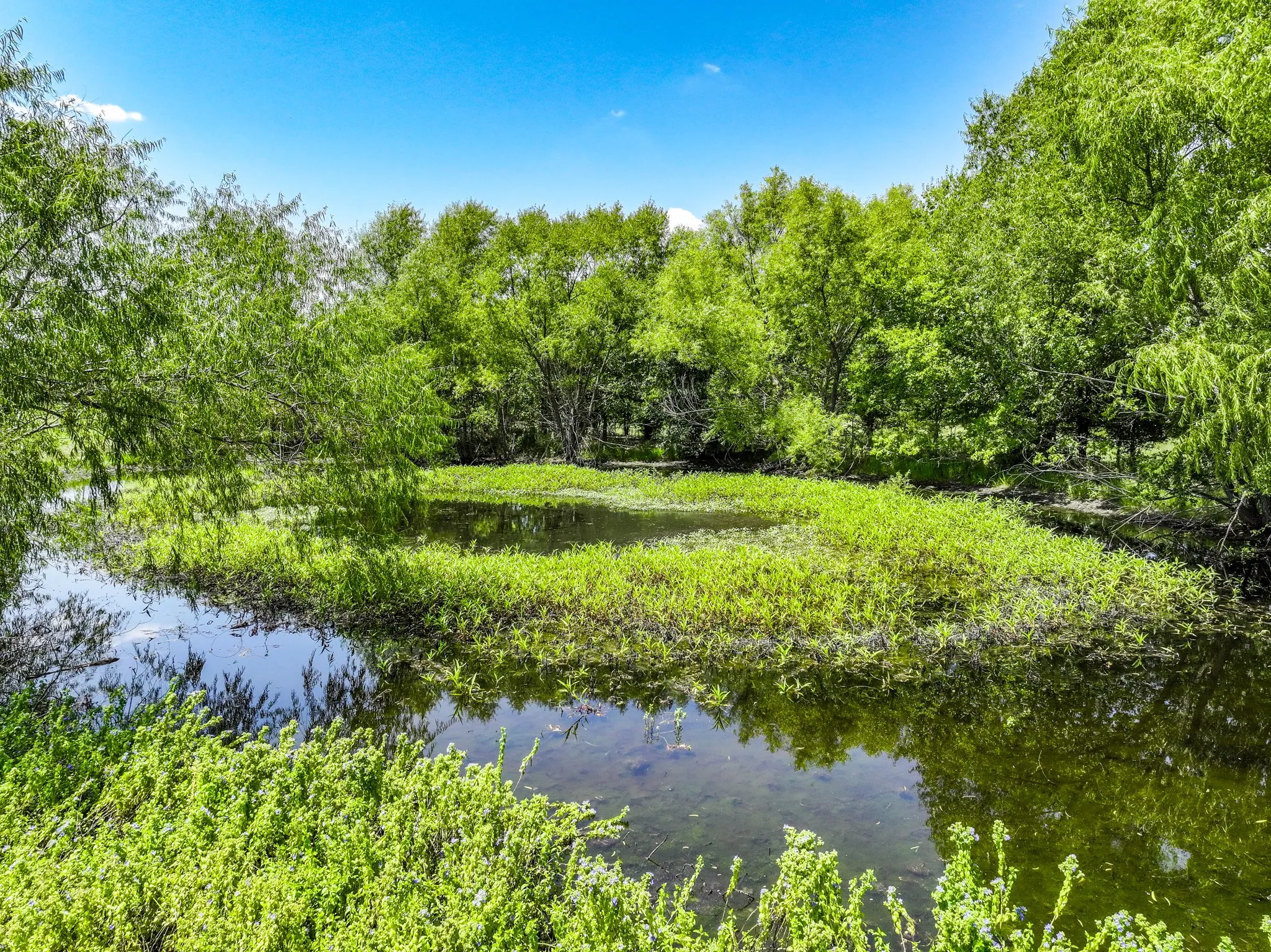 Improved Land For Sale in Hunt County , 5726 County Road 4100, Greenville, Texas 75401, 0, 0, Garage spaces, 0 Sqft, built in 0, Price $2,352,000, mls#21363733, Real Estate Agent in Greenville, Homes For Sale in Hunt county, Homes For Sale in Greenville, Realtor in Greenville Texas, Real Estate Brokerage Independent Realty Texas, Luminita Cordes Realtor
