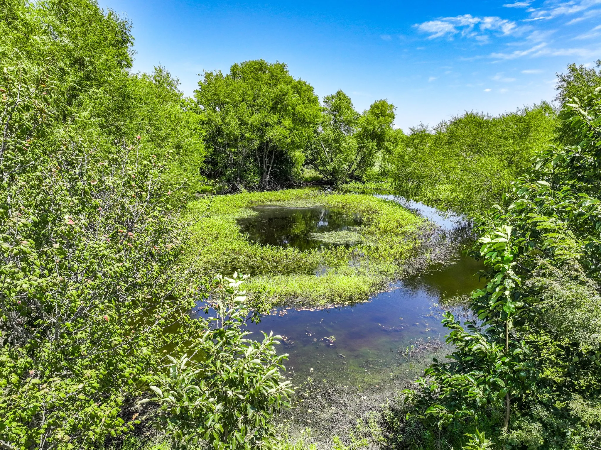 Improved Land For Sale in Hunt County , 5726 County Road 4100, Greenville, Texas 75401, 0, 0, Garage spaces, 0 Sqft, built in 0, Price $2,352,000, mls#21363733, Real Estate Agent in Greenville, Homes For Sale in Hunt county, Homes For Sale in Greenville, Realtor in Greenville Texas, Real Estate Brokerage Independent Realty Texas, Luminita Cordes Realtor