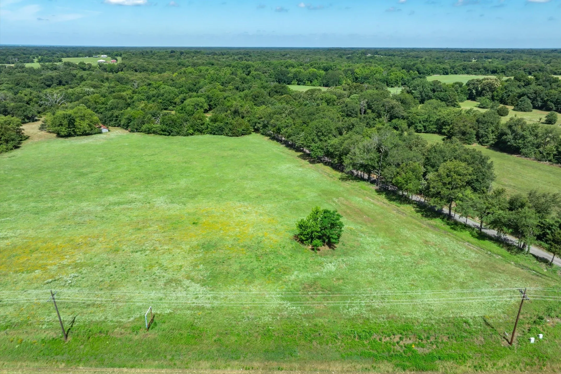 Unimproved Land For Sale in Rains County , Tract B State Hwy 19 & RS CR 1150, Emory, Texas 75440, 0, 0, Garage spaces, 0 Sqft, built in 0, Price $1,563,075, mls#21358295, Real Estate Agent in Emory, Homes For Sale in Rains county, Homes For Sale in Emory, Realtor in Emory Texas, Real Estate Brokerage Independent Realty Texas, Luminita Cordes Realtor