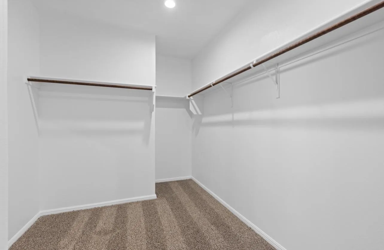 Walk in closet with carpet flooring