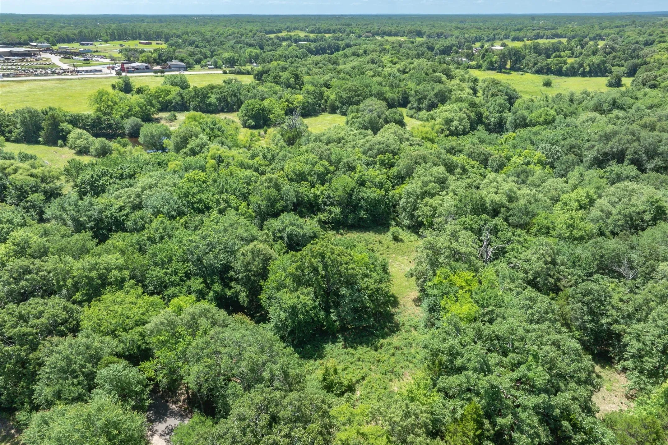 Unimproved Land For Sale in Rains County , Lot 8 RS County Road 1150, Emory, Texas 75440, 0, 0, Garage spaces, 0 Sqft, built in 0, Price $163,875, mls#21358408, Real Estate Agent in Emory, Homes For Sale in Rains county, Homes For Sale in Emory, Realtor in Emory Texas, Real Estate Brokerage Independent Realty Texas, Luminita Cordes Realtor