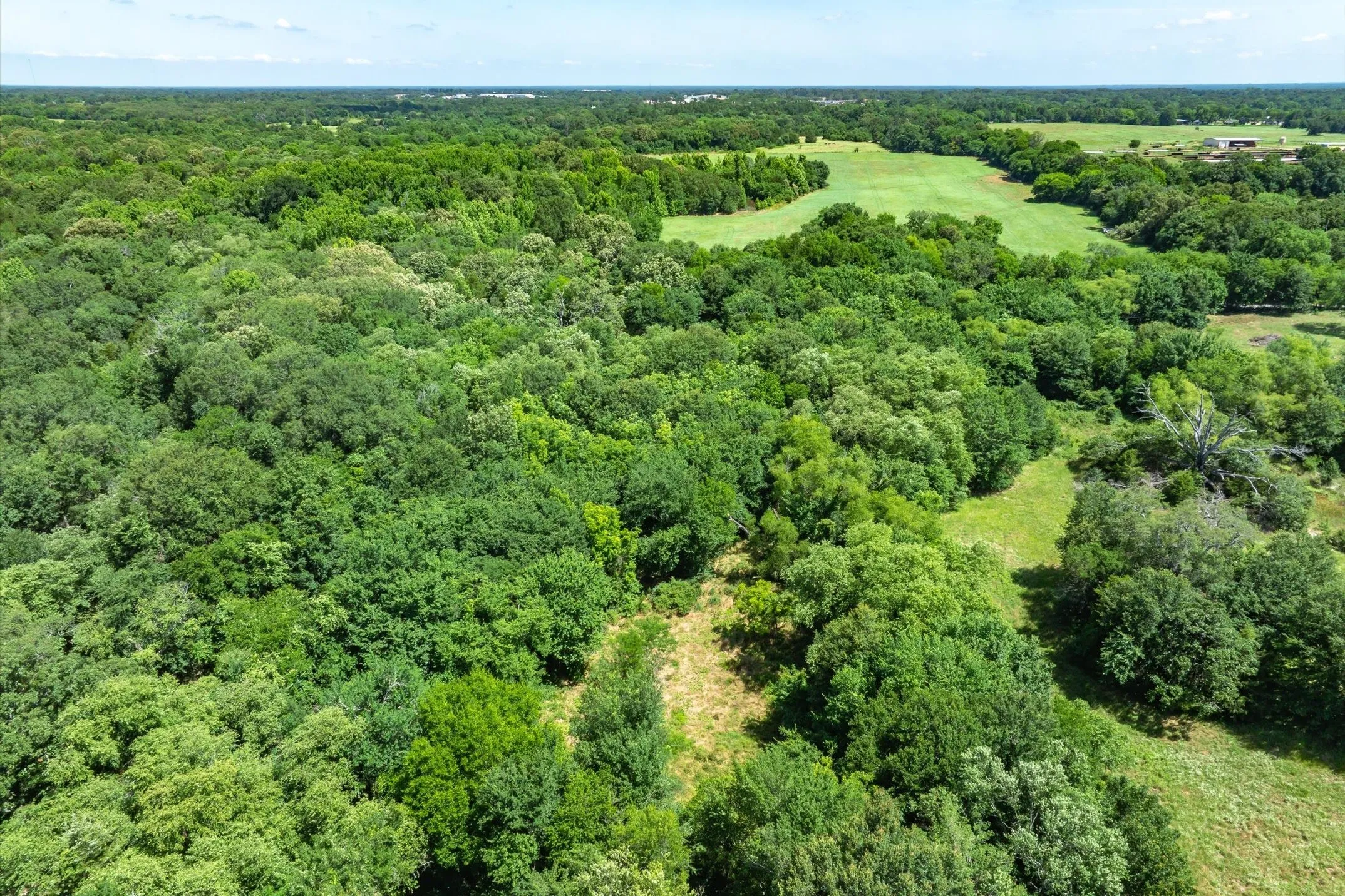 Unimproved Land For Sale in Rains County , Lot 8 RS County Road 1150, Emory, Texas 75440, 0, 0, Garage spaces, 0 Sqft, built in 0, Price $163,875, mls#21358408, Real Estate Agent in Emory, Homes For Sale in Rains county, Homes For Sale in Emory, Realtor in Emory Texas, Real Estate Brokerage Independent Realty Texas, Luminita Cordes Realtor