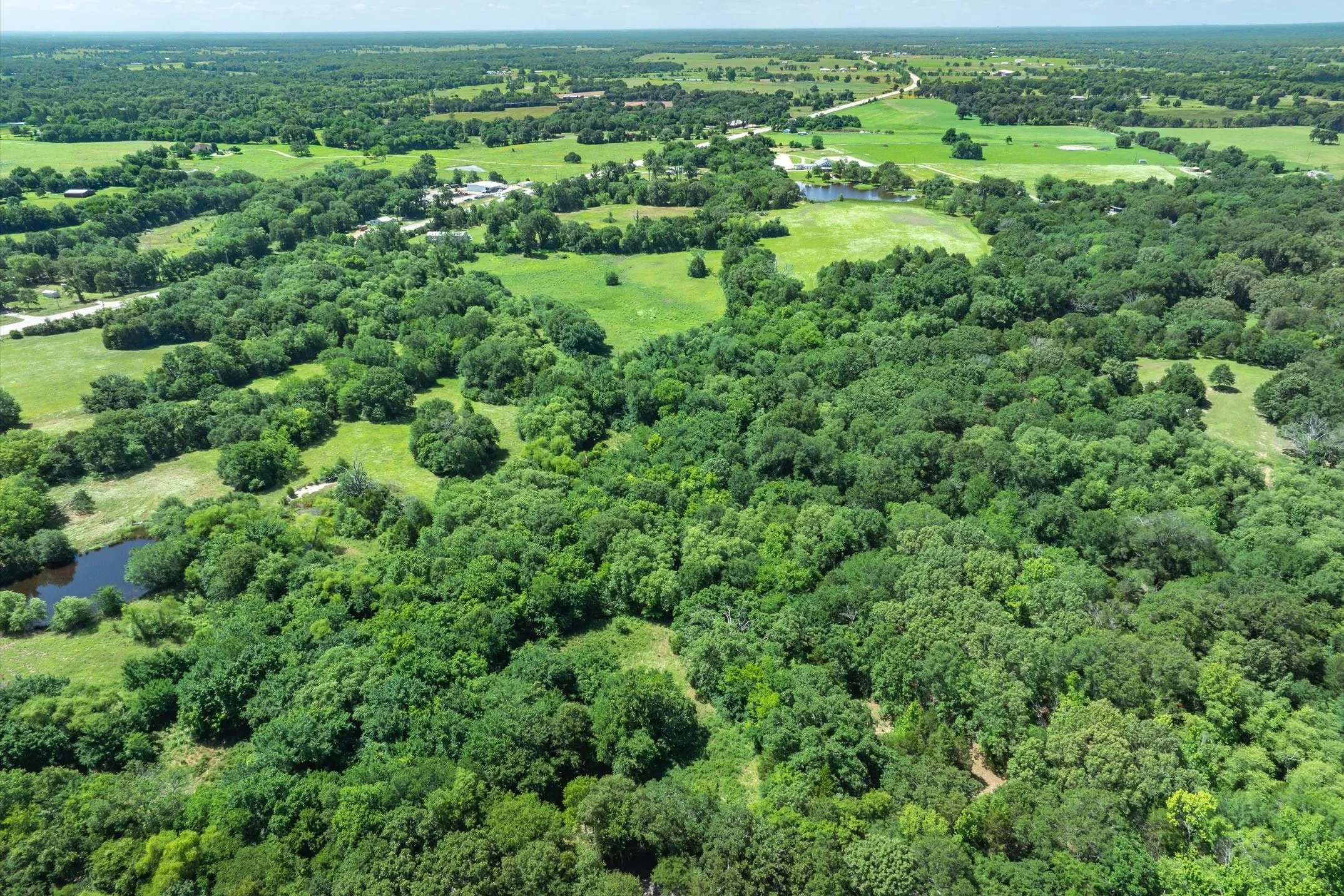 Unimproved Land For Sale in Rains County , Lot 8 RS County Road 1150, Emory, Texas 75440, 0, 0, Garage spaces, 0 Sqft, built in 0, Price $163,875, mls#21358408, Real Estate Agent in Emory, Homes For Sale in Rains county, Homes For Sale in Emory, Realtor in Emory Texas, Real Estate Brokerage Independent Realty Texas, Luminita Cordes Realtor