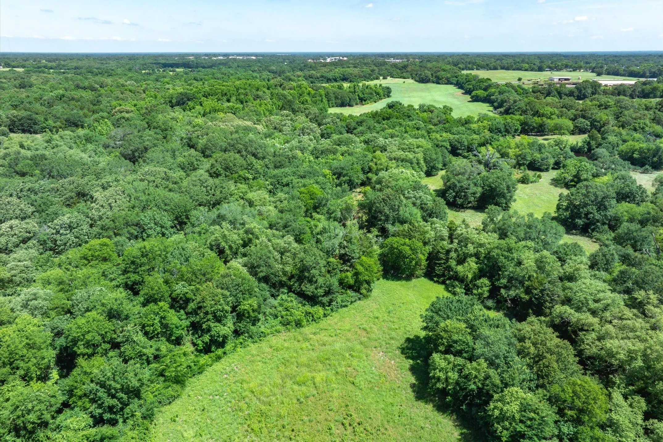 Unimproved Land For Sale in Rains County , Lot 8 RS County Road 1150, Emory, Texas 75440, 0, 0, Garage spaces, 0 Sqft, built in 0, Price $163,875, mls#21358408, Real Estate Agent in Emory, Homes For Sale in Rains county, Homes For Sale in Emory, Realtor in Emory Texas, Real Estate Brokerage Independent Realty Texas, Luminita Cordes Realtor
