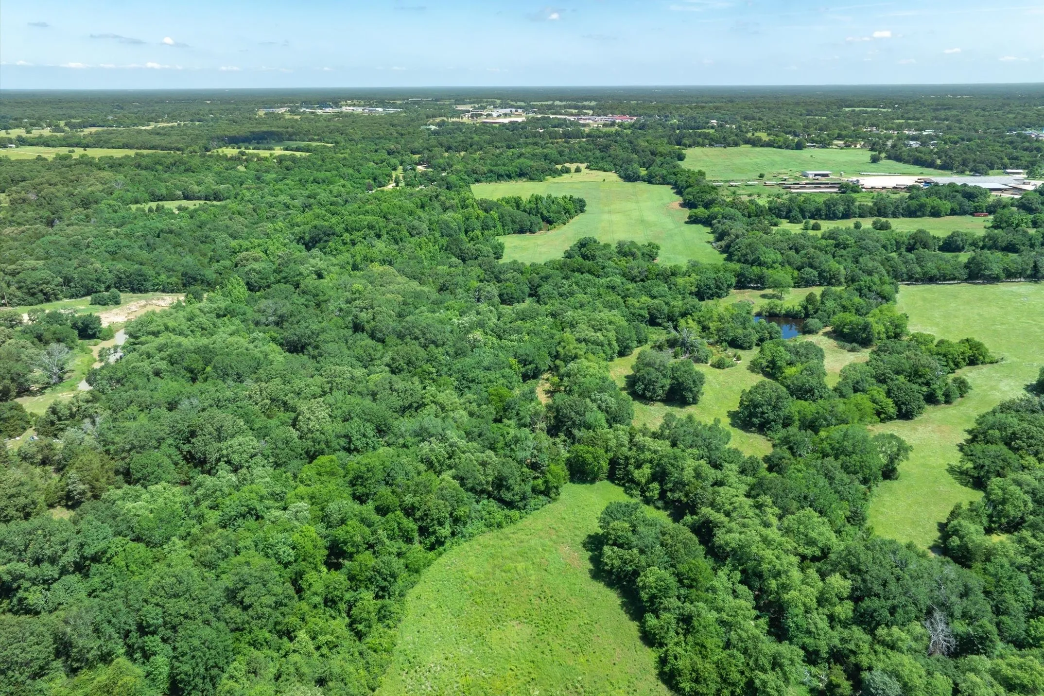 Unimproved Land For Sale in Rains County , Lot 8 RS County Road 1150, Emory, Texas 75440, 0, 0, Garage spaces, 0 Sqft, built in 0, Price $163,875, mls#21358408, Real Estate Agent in Emory, Homes For Sale in Rains county, Homes For Sale in Emory, Realtor in Emory Texas, Real Estate Brokerage Independent Realty Texas, Luminita Cordes Realtor