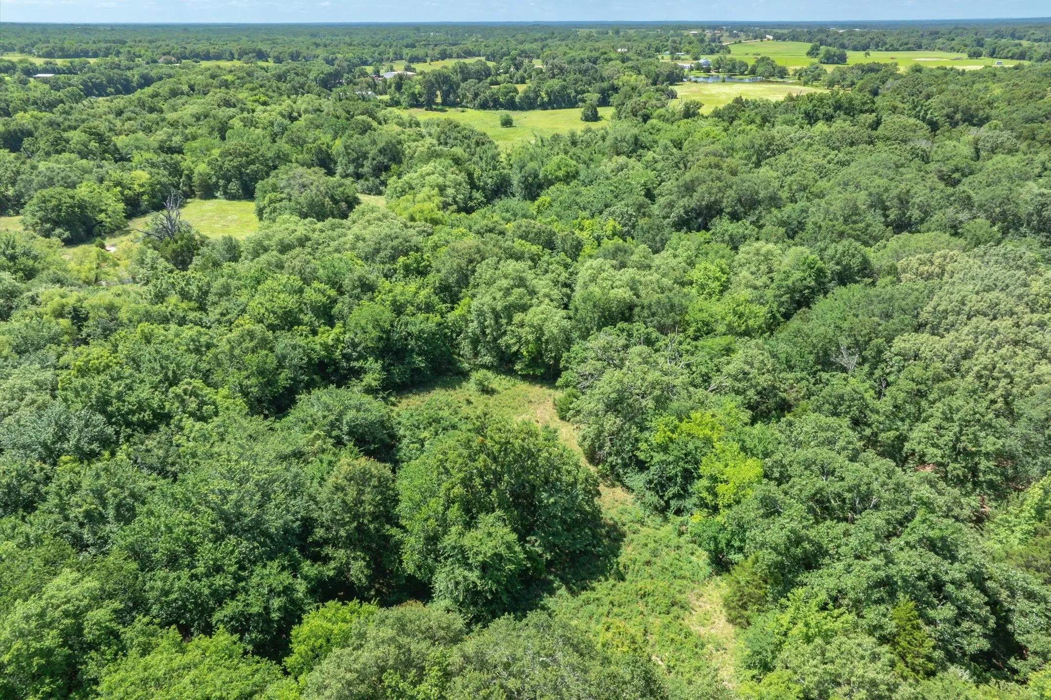 Unimproved Land For Sale in Rains County , Lot 8 RS County Road 1150, Emory, Texas 75440, 0, 0, Garage spaces, 0 Sqft, built in 0, Price $163,875, mls#21358408, Real Estate Agent in Emory, Homes For Sale in Rains county, Homes For Sale in Emory, Realtor in Emory Texas, Real Estate Brokerage Independent Realty Texas, Luminita Cordes Realtor