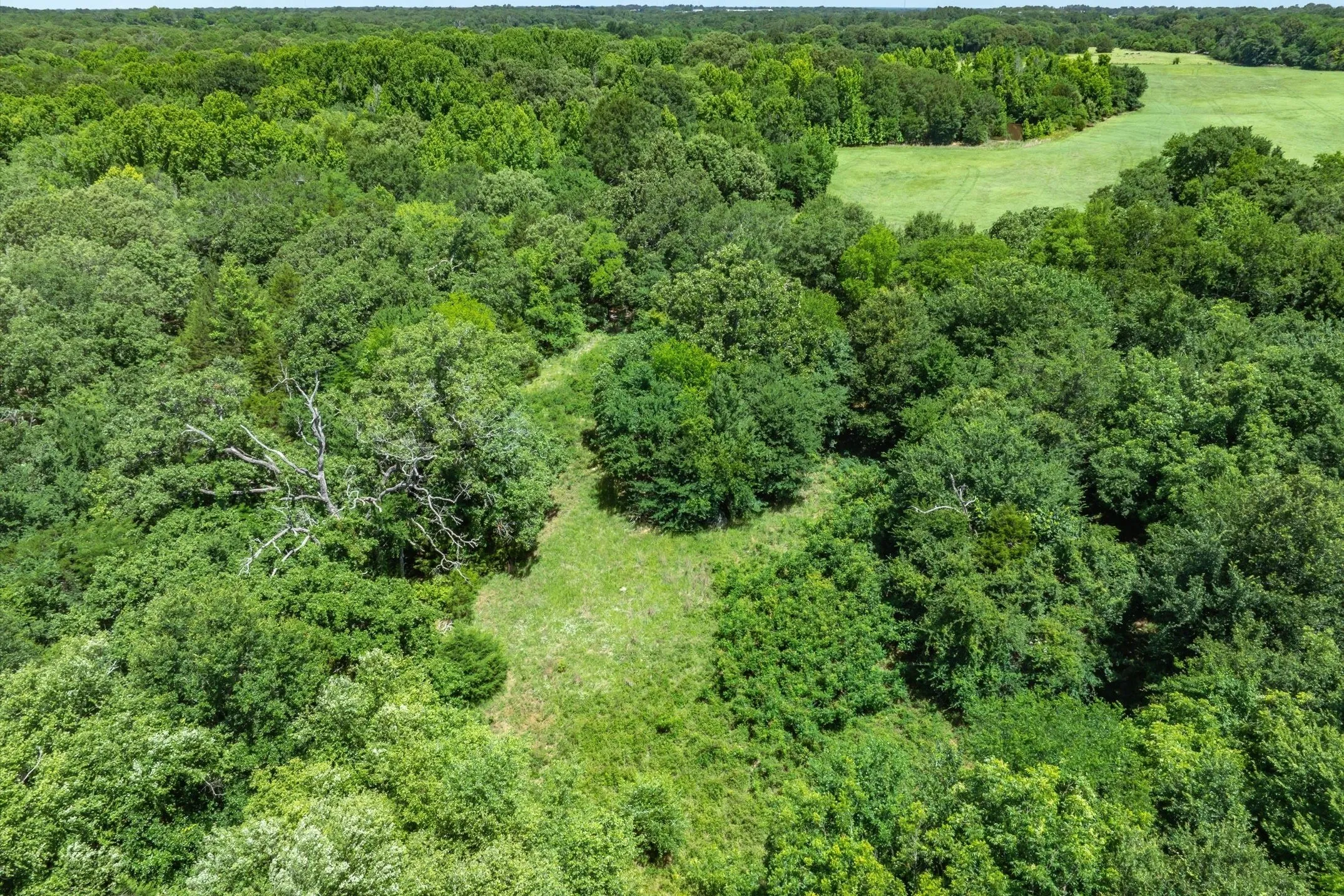 Unimproved Land For Sale in Rains County , Lot 8 RS County Road 1150, Emory, Texas 75440, 0, 0, Garage spaces, 0 Sqft, built in 0, Price $163,875, mls#21358408, Real Estate Agent in Emory, Homes For Sale in Rains county, Homes For Sale in Emory, Realtor in Emory Texas, Real Estate Brokerage Independent Realty Texas, Luminita Cordes Realtor