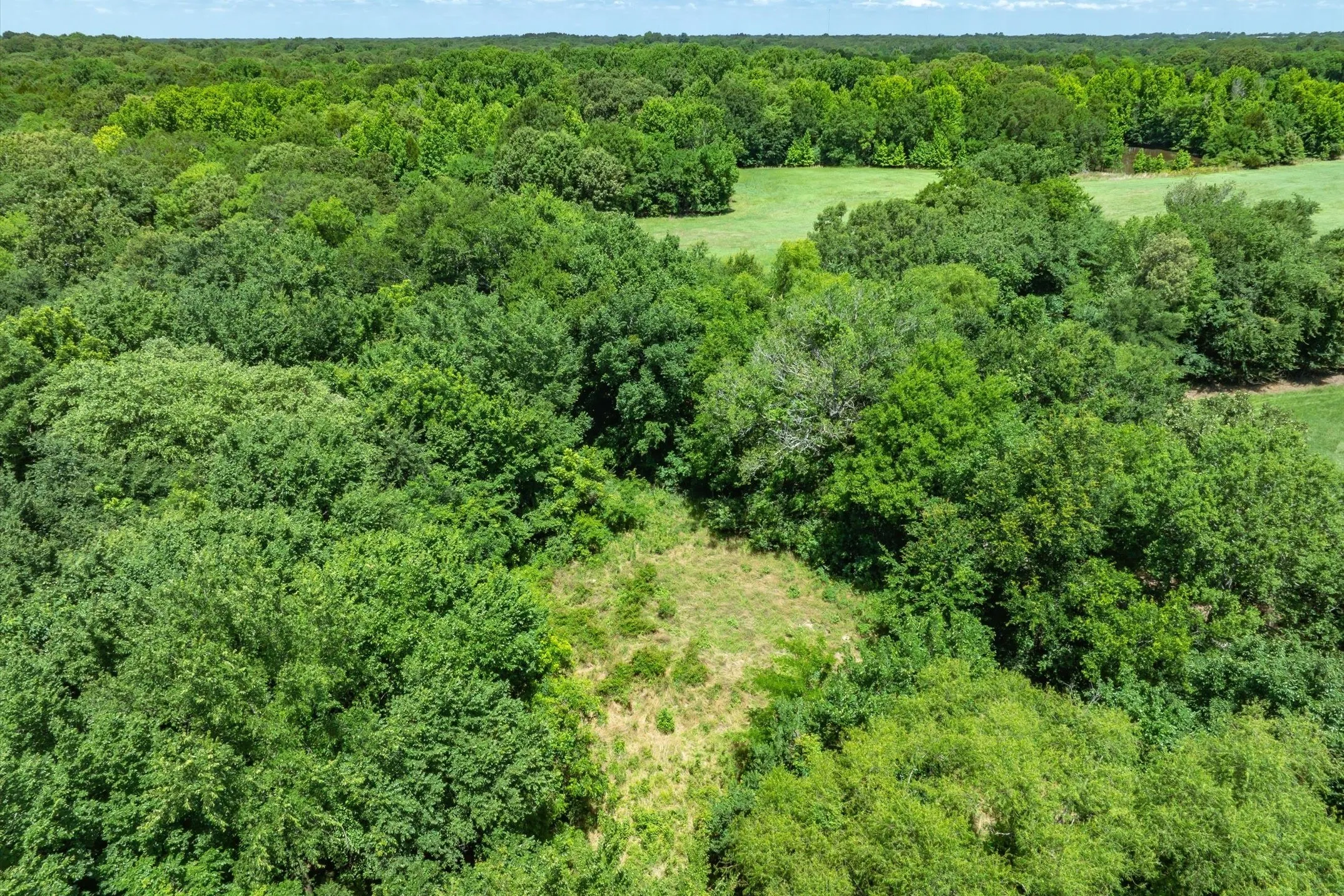 Unimproved Land For Sale in Rains County , Lot 8 RS County Road 1150, Emory, Texas 75440, 0, 0, Garage spaces, 0 Sqft, built in 0, Price $163,875, mls#21358408, Real Estate Agent in Emory, Homes For Sale in Rains county, Homes For Sale in Emory, Realtor in Emory Texas, Real Estate Brokerage Independent Realty Texas, Luminita Cordes Realtor