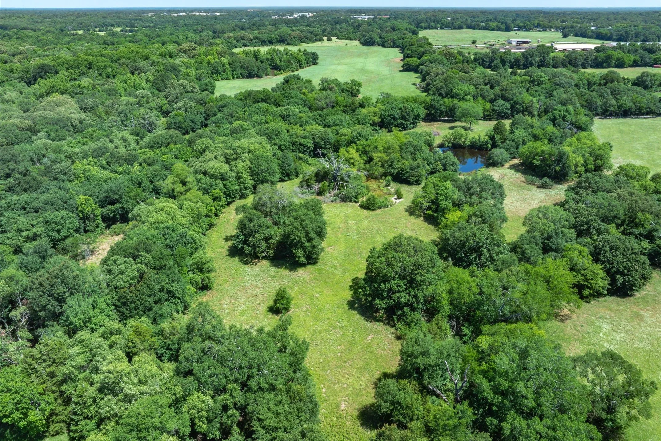Unimproved Land For Sale in Rains County , Lot 7 RS County Road 1150, Emory, Texas 75440, 0, 0, Garage spaces, 0 Sqft, built in 0, Price $163,875, mls#21358345, Real Estate Agent in Emory, Homes For Sale in Rains county, Homes For Sale in Emory, Realtor in Emory Texas, Real Estate Brokerage Independent Realty Texas, Luminita Cordes Realtor