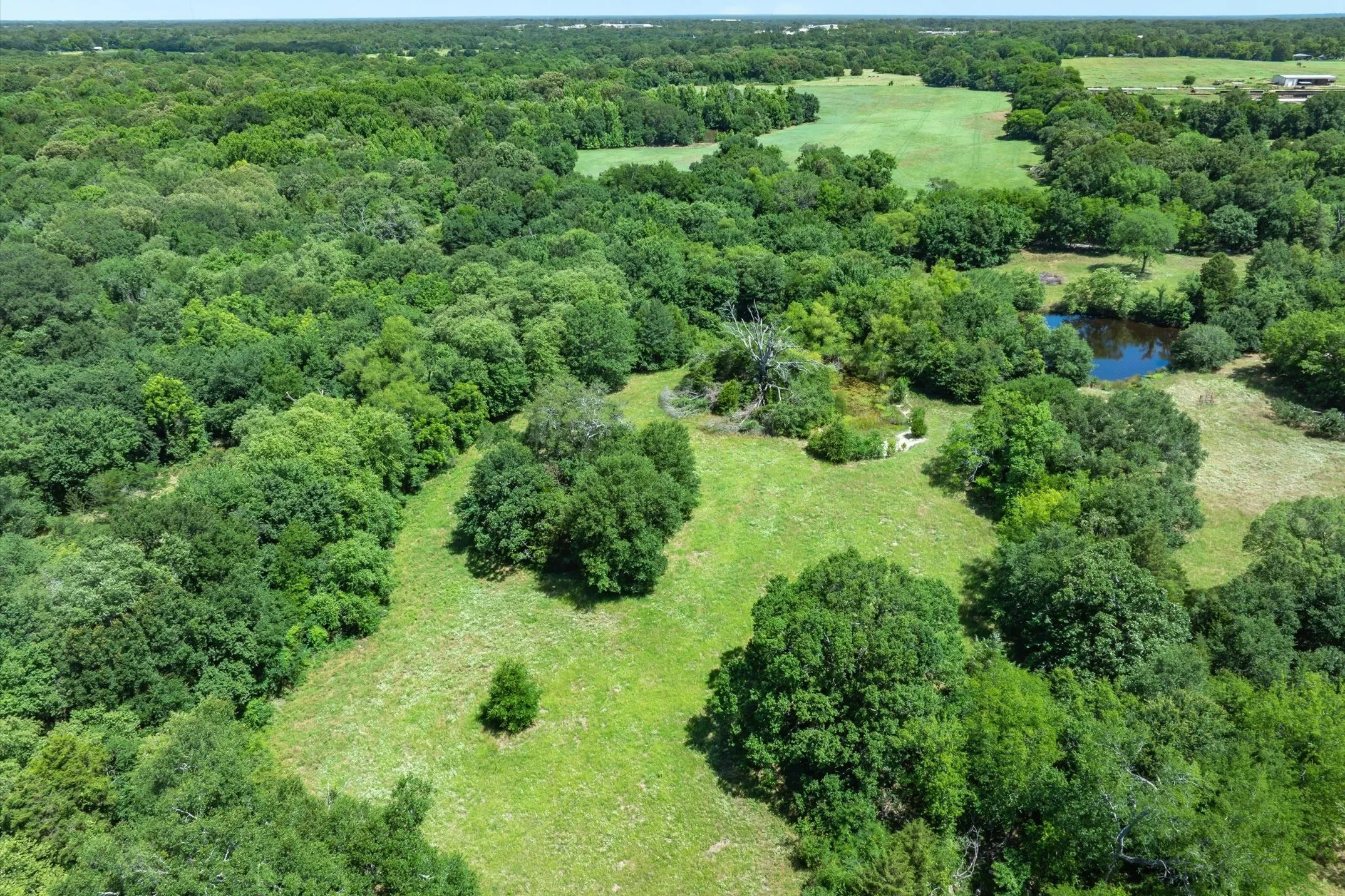 Unimproved Land For Sale in Rains County , Lot 7 RS County Road 1150, Emory, Texas 75440, 0, 0, Garage spaces, 0 Sqft, built in 0, Price $163,875, mls#21358345, Real Estate Agent in Emory, Homes For Sale in Rains county, Homes For Sale in Emory, Realtor in Emory Texas, Real Estate Brokerage Independent Realty Texas, Luminita Cordes Realtor