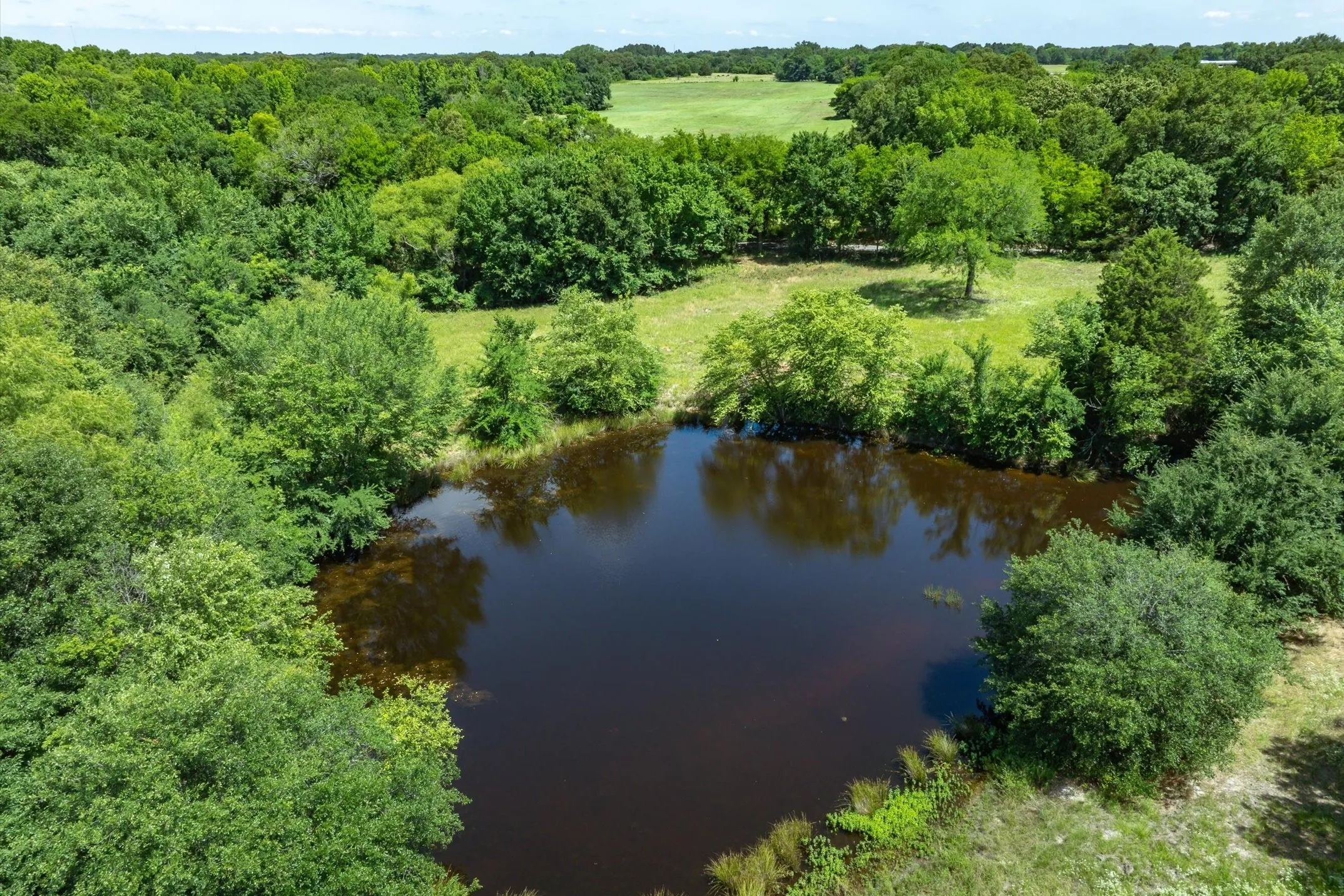 Unimproved Land For Sale in Rains County , Lot 7 RS County Road 1150, Emory, Texas 75440, 0, 0, Garage spaces, 0 Sqft, built in 0, Price $163,875, mls#21358345, Real Estate Agent in Emory, Homes For Sale in Rains county, Homes For Sale in Emory, Realtor in Emory Texas, Real Estate Brokerage Independent Realty Texas, Luminita Cordes Realtor