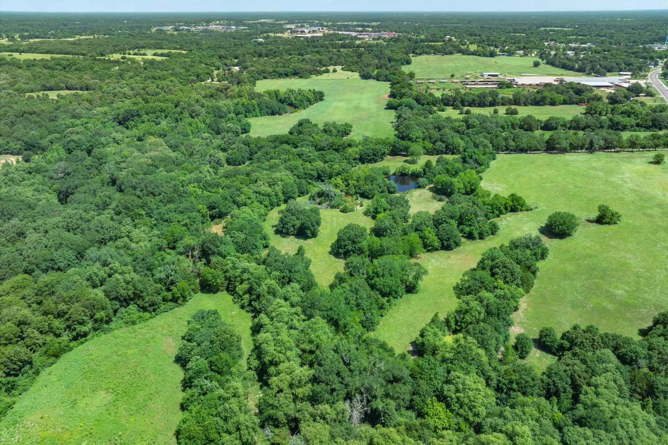Unimproved Land For Sale in Rains County , Lot 7 RS County Road 1150, Emory, Texas 75440, 0, 0, Garage spaces, 0 Sqft, built in 0, Price $163,875, mls#21358345, Real Estate Agent in Emory, Homes For Sale in Rains county, Homes For Sale in Emory, Realtor in Emory Texas, Real Estate Brokerage Independent Realty Texas, Luminita Cordes Realtor