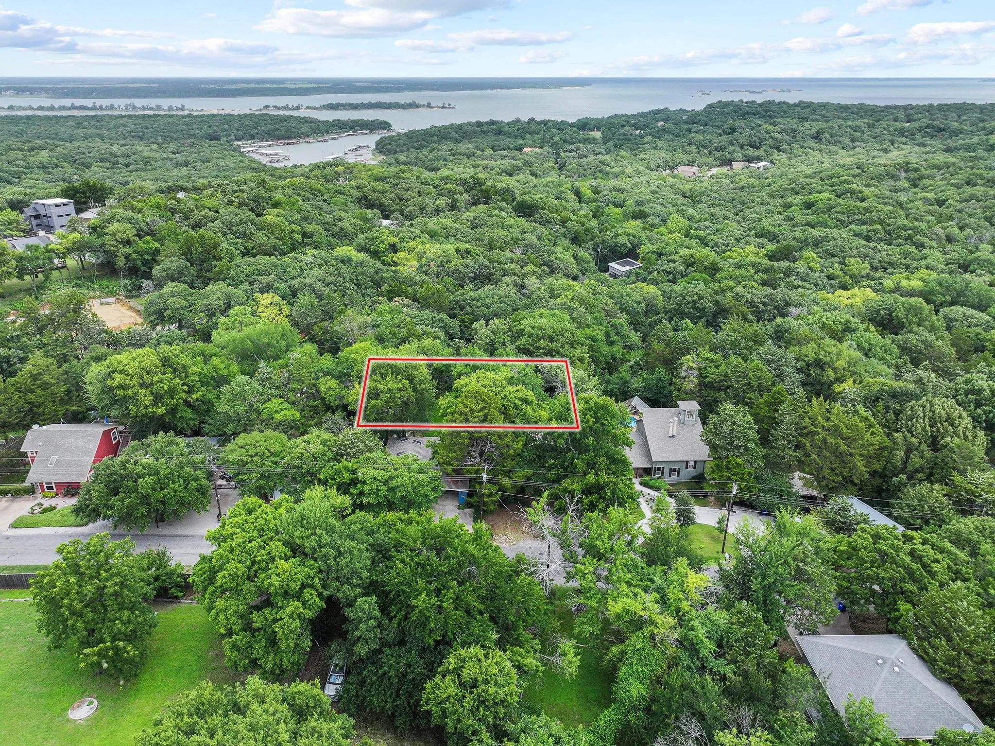 Wooded lot with mature trees