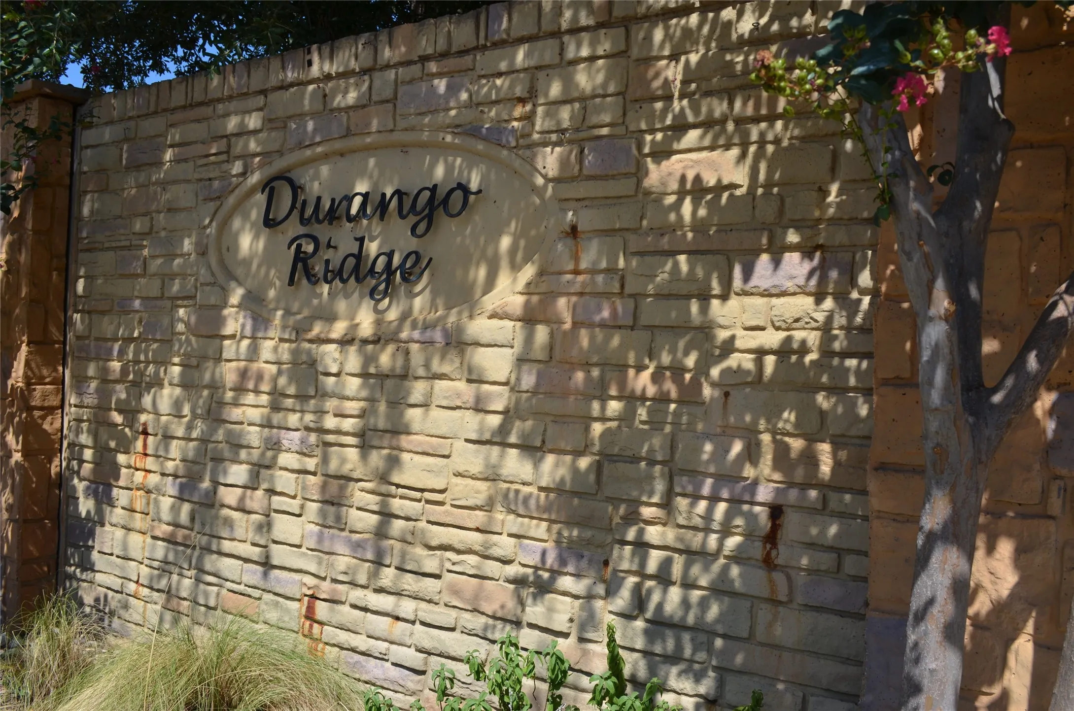 Townhouse For Rent in Tarrant County , 2918 Durango Place, Bedford, Texas 76021, 3 Bedroom, 3 Bathroom, 2 Garage spaces, 1,488 Sqft, built in 2008, Price $2,250, mls#21361607, Real Estate Agent in Bedford, Homes For Rent in Tarrant county, Homes For Rent in Bedford, Realtor in Bedford Texas, Real Estate Brokerage Independent Realty Texas, Luminita Cordes Realtor