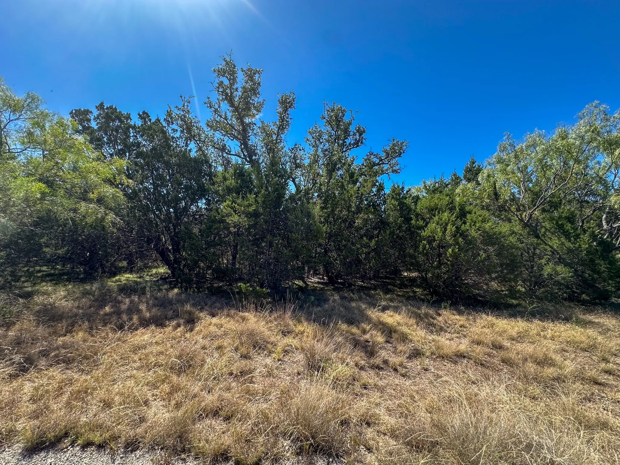 Mobile Home For Sale in Mc Culloch County , 76 Private Road 840, Rochelle, Texas 76872, 3 Bedroom, 2 Bathroom, 2 Garage spaces, 1,512 Sqft, built in 1984, mls#21363753, Real Estate Agent in Rochelle, Homes For Sale in Mc Culloch county, Homes For Sale in Rochelle, Realtor in Rochelle Texas, Real Estate Brokerage Independent Realty Texas, Luminita Cordes Realtor