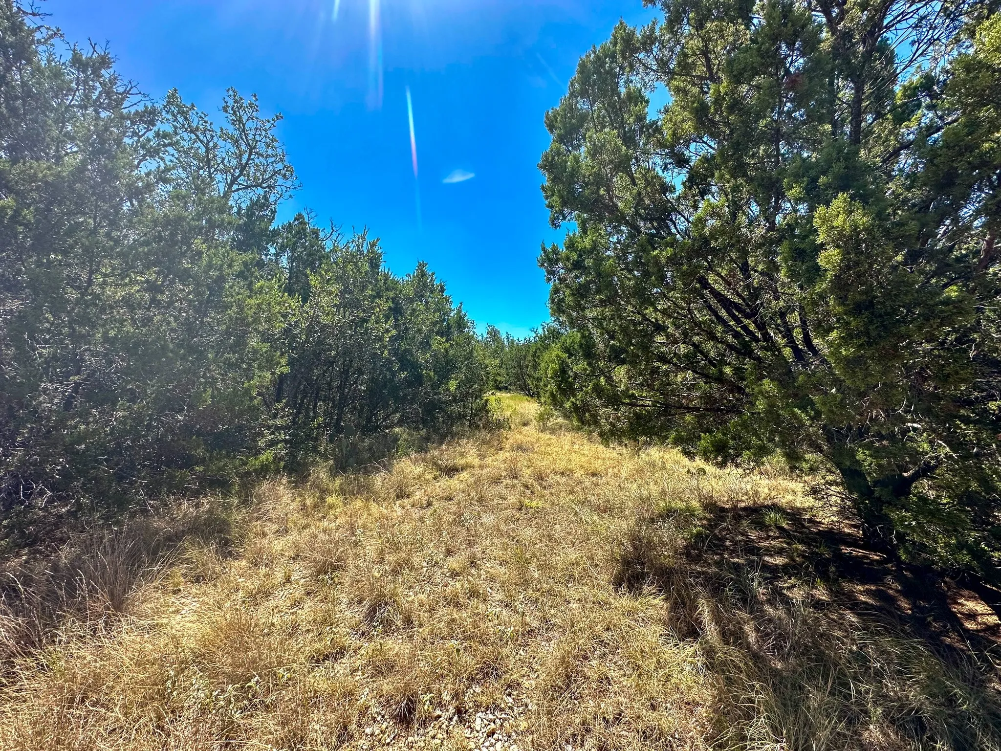 Mobile Home For Sale in Mc Culloch County , 76 Private Road 840, Rochelle, Texas 76872, 3 Bedroom, 2 Bathroom, 2 Garage spaces, 1,512 Sqft, built in 1984, mls#21363753, Real Estate Agent in Rochelle, Homes For Sale in Mc Culloch county, Homes For Sale in Rochelle, Realtor in Rochelle Texas, Real Estate Brokerage Independent Realty Texas, Luminita Cordes Realtor