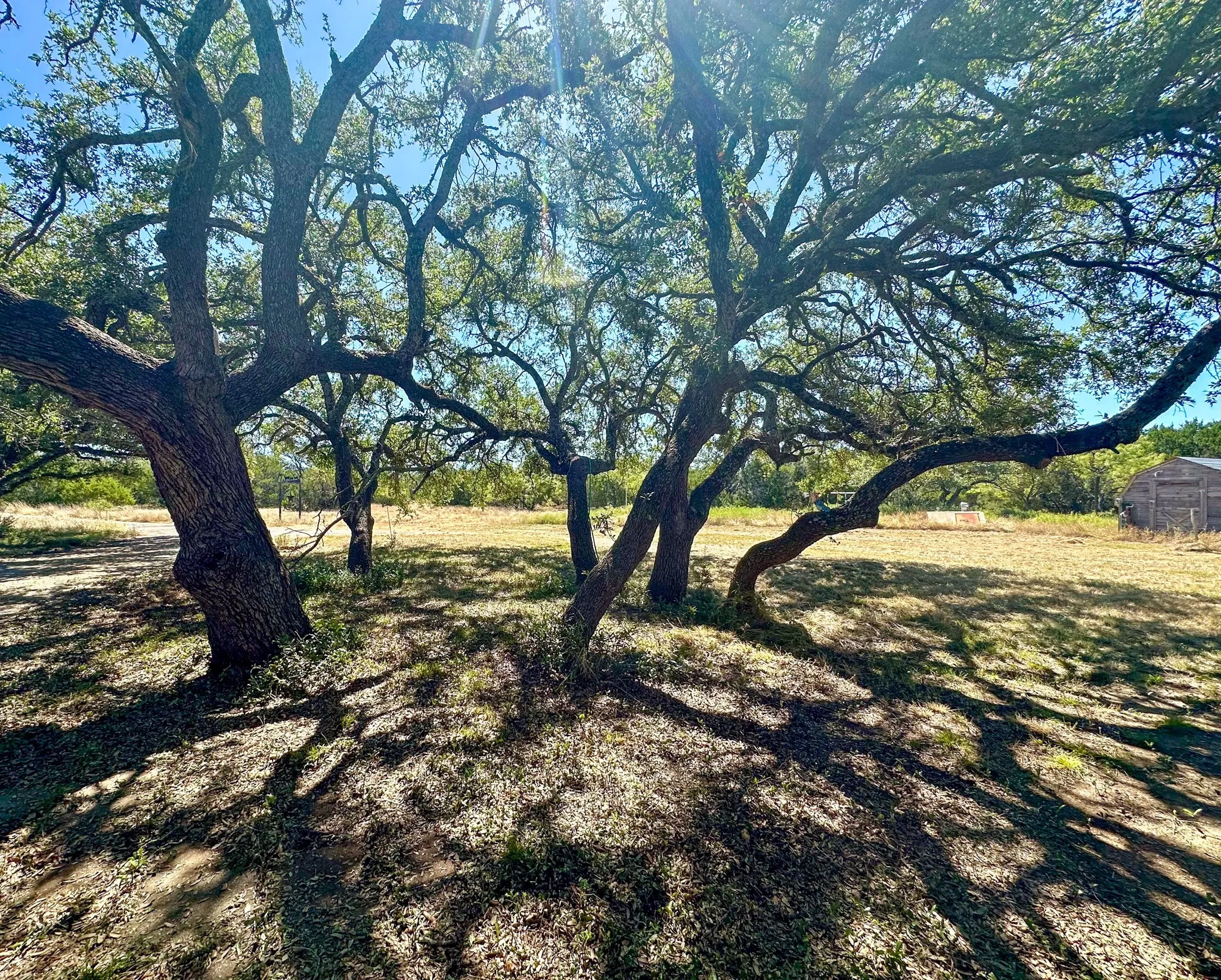 Mobile Home For Sale in Mc Culloch County , 76 Private Road 840, Rochelle, Texas 76872, 3 Bedroom, 2 Bathroom, 2 Garage spaces, 1,512 Sqft, built in 1984, mls#21363753, Real Estate Agent in Rochelle, Homes For Sale in Mc Culloch county, Homes For Sale in Rochelle, Realtor in Rochelle Texas, Real Estate Brokerage Independent Realty Texas, Luminita Cordes Realtor