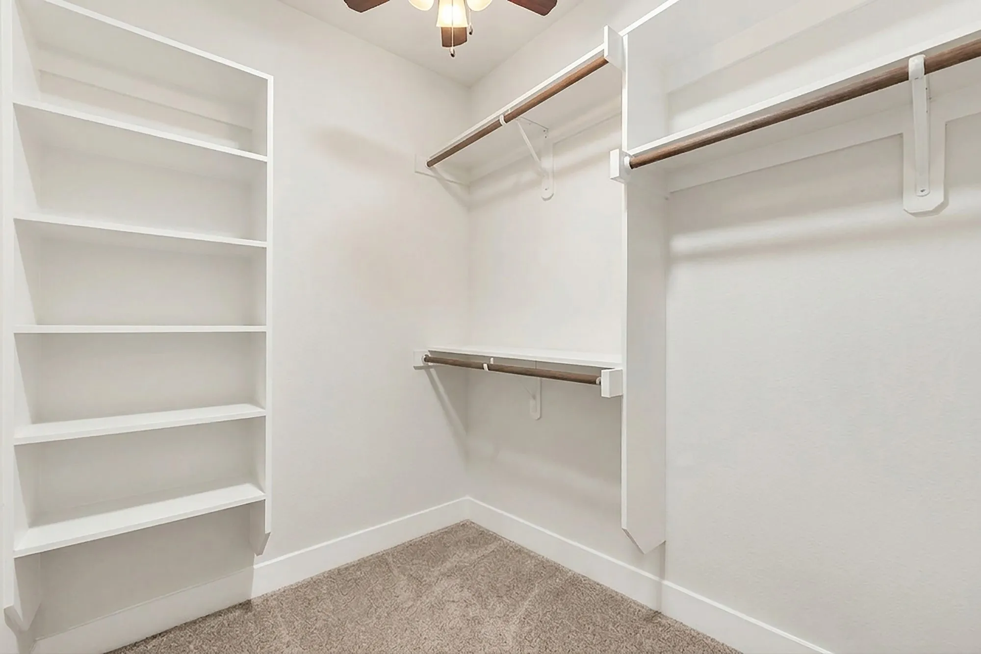 Built-in shelving, multiple hanging rods, and neutral carpeting
