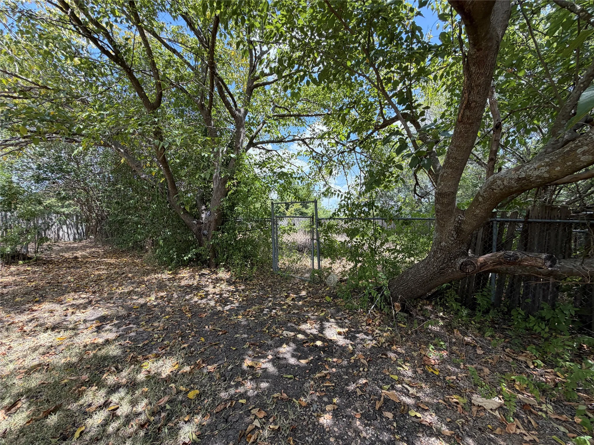 Single Family Residence For Sale in Ellis County , 116 Crest Brook Drive, Red Oak, Texas 75154, 3 Bedroom, 2 Bathroom, 2 Garage spaces, 1,472 Sqft, built in 1986, mls#21362663, Real Estate Agent in Red Oak, Homes For Sale in Ellis county, Homes For Sale in Red Oak, Realtor in Red Oak Texas, Real Estate Brokerage Independent Realty Texas, Luminita Cordes Realtor