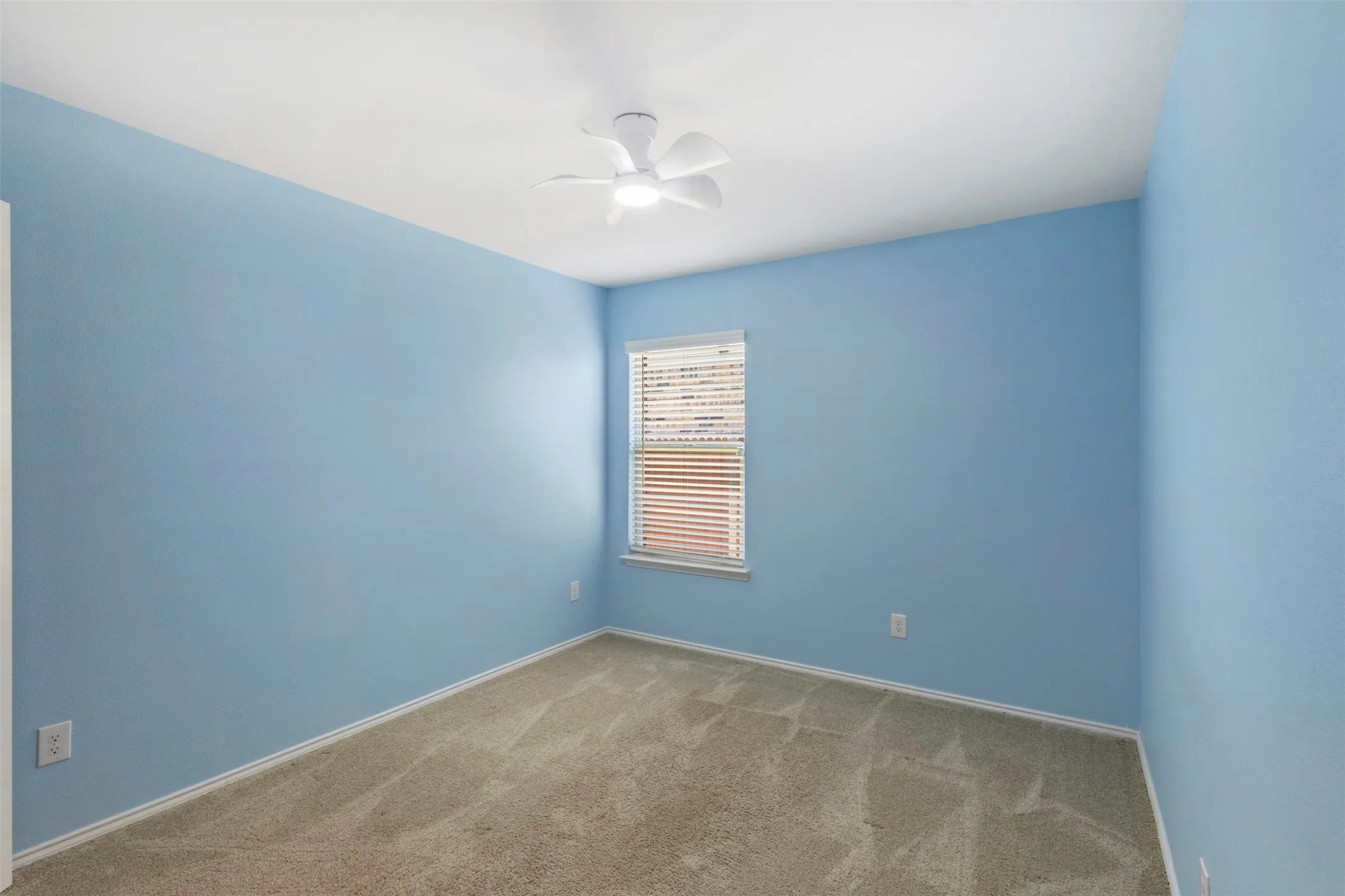 Bright secondary bedroom featuring serene blue wall finishes, neutral carpet flooring, a ceiling fan with integrated lighting, and a single window with horizontal blinds providing natural light and privacy