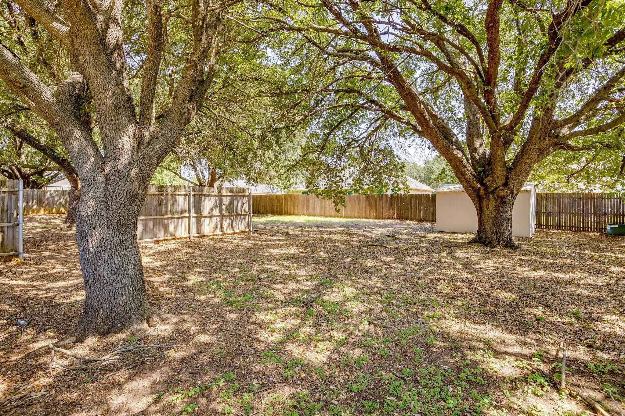 Trees in second part of backyard