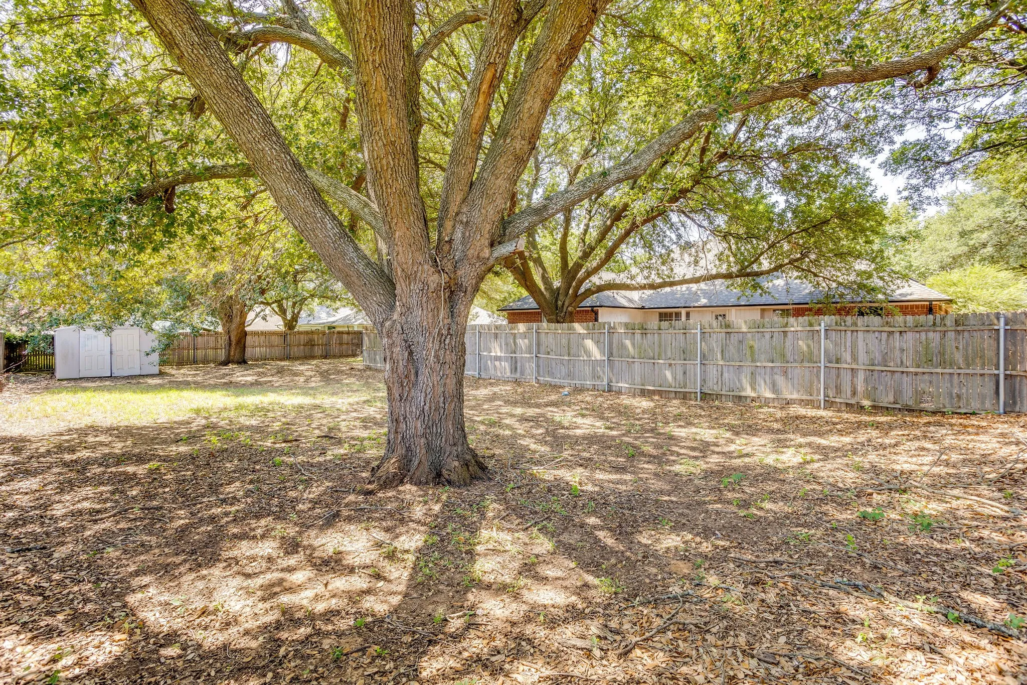 Backyard is Cross fenced