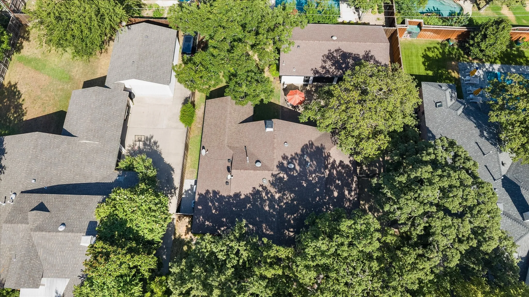 Heavily treed lot