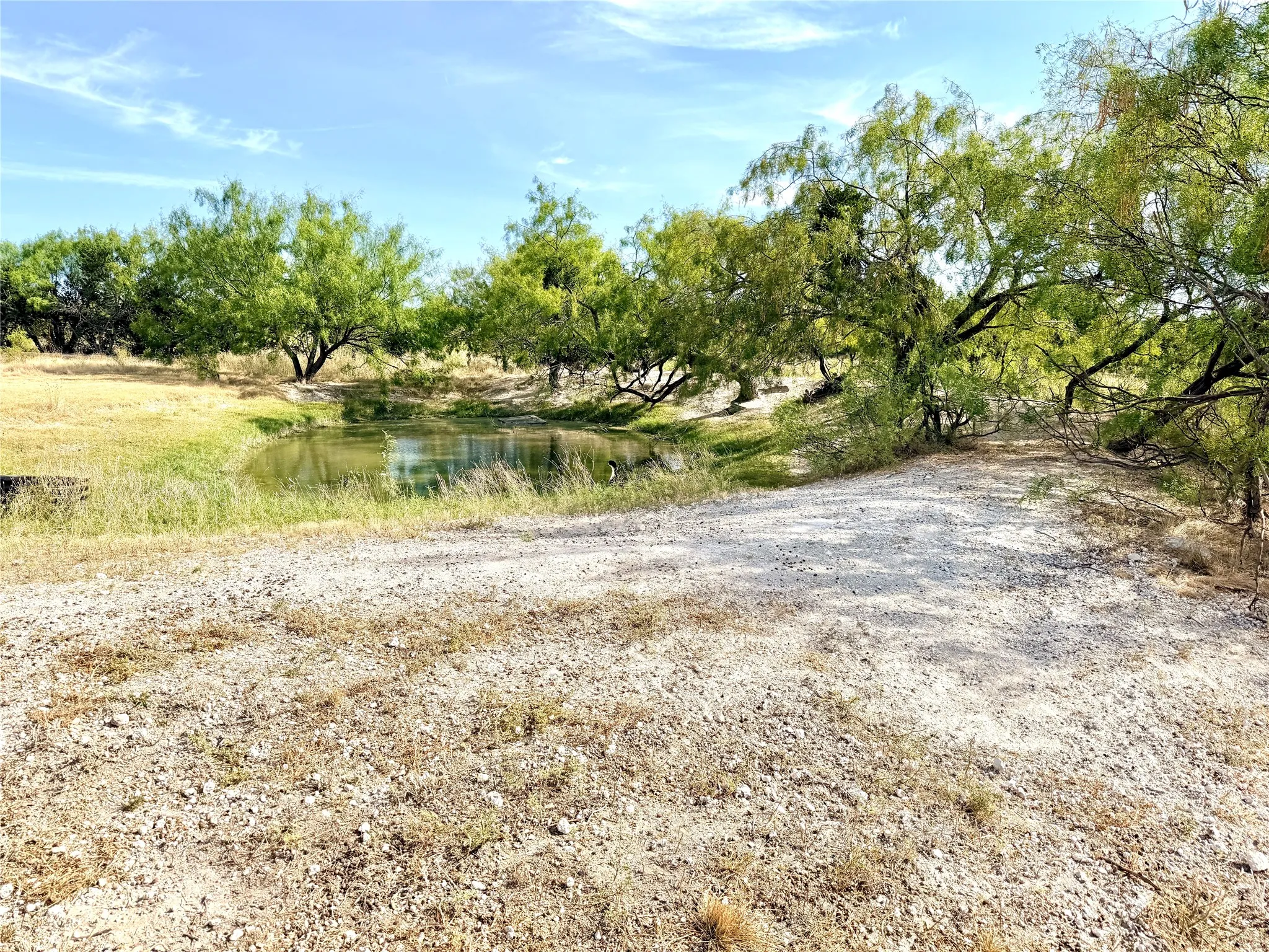 Single Family Residence For Sale in Mills County , 211 Fm 3023 S, Goldthwaite, Texas 76844, 4 Bedroom, 2 Bathroom, 1 Garage spaces, 2,494 Sqft, built in 1987, mls#21363889, Real Estate Agent in Goldthwaite, Homes For Sale in Mills county, Homes For Sale in Goldthwaite, Realtor in Goldthwaite Texas, Real Estate Brokerage Independent Realty Texas, Luminita Cordes Realtor