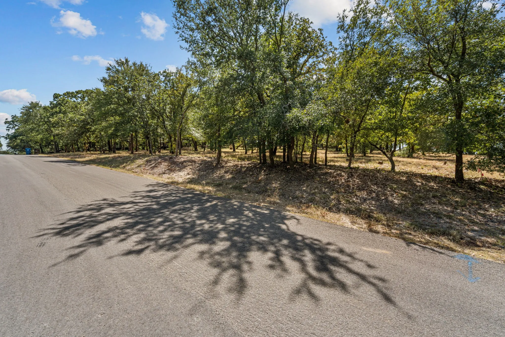 Unimproved Land For Sale in Denton County , 4215 Ada Drive, Flower Mound, Texas 75022, 0, 0, Garage spaces, 0 Sqft, built in 0, mls#21360956, Real Estate Agent in Flower Mound, Homes For Sale in Denton county, Homes For Sale in Flower Mound, Realtor in Flower Mound Texas, Real Estate Brokerage Independent Realty Texas, Luminita Cordes Realtor