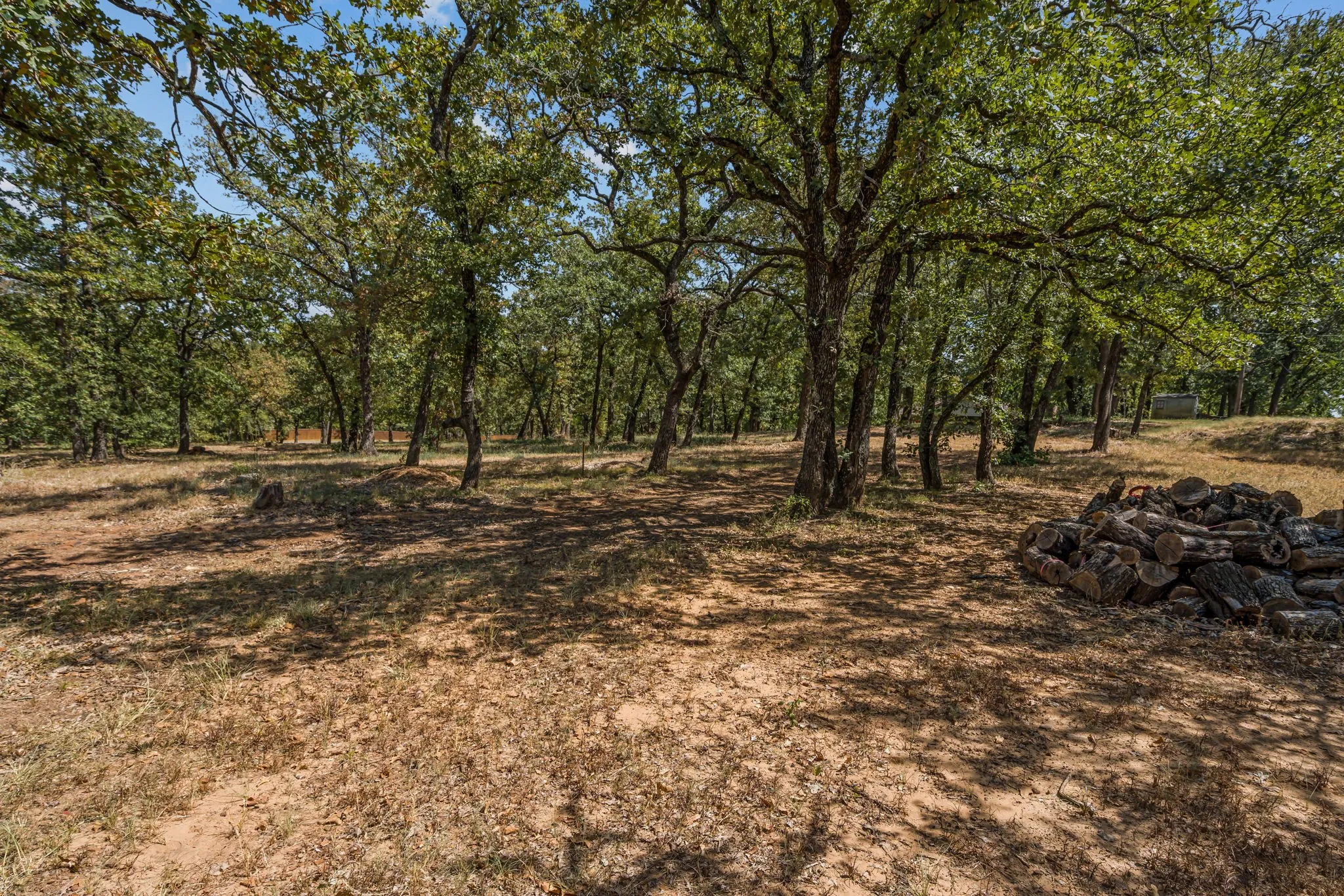 Unimproved Land For Sale in Denton County , 4215 Ada Drive, Flower Mound, Texas 75022, 0, 0, Garage spaces, 0 Sqft, built in 0, mls#21360956, Real Estate Agent in Flower Mound, Homes For Sale in Denton county, Homes For Sale in Flower Mound, Realtor in Flower Mound Texas, Real Estate Brokerage Independent Realty Texas, Luminita Cordes Realtor