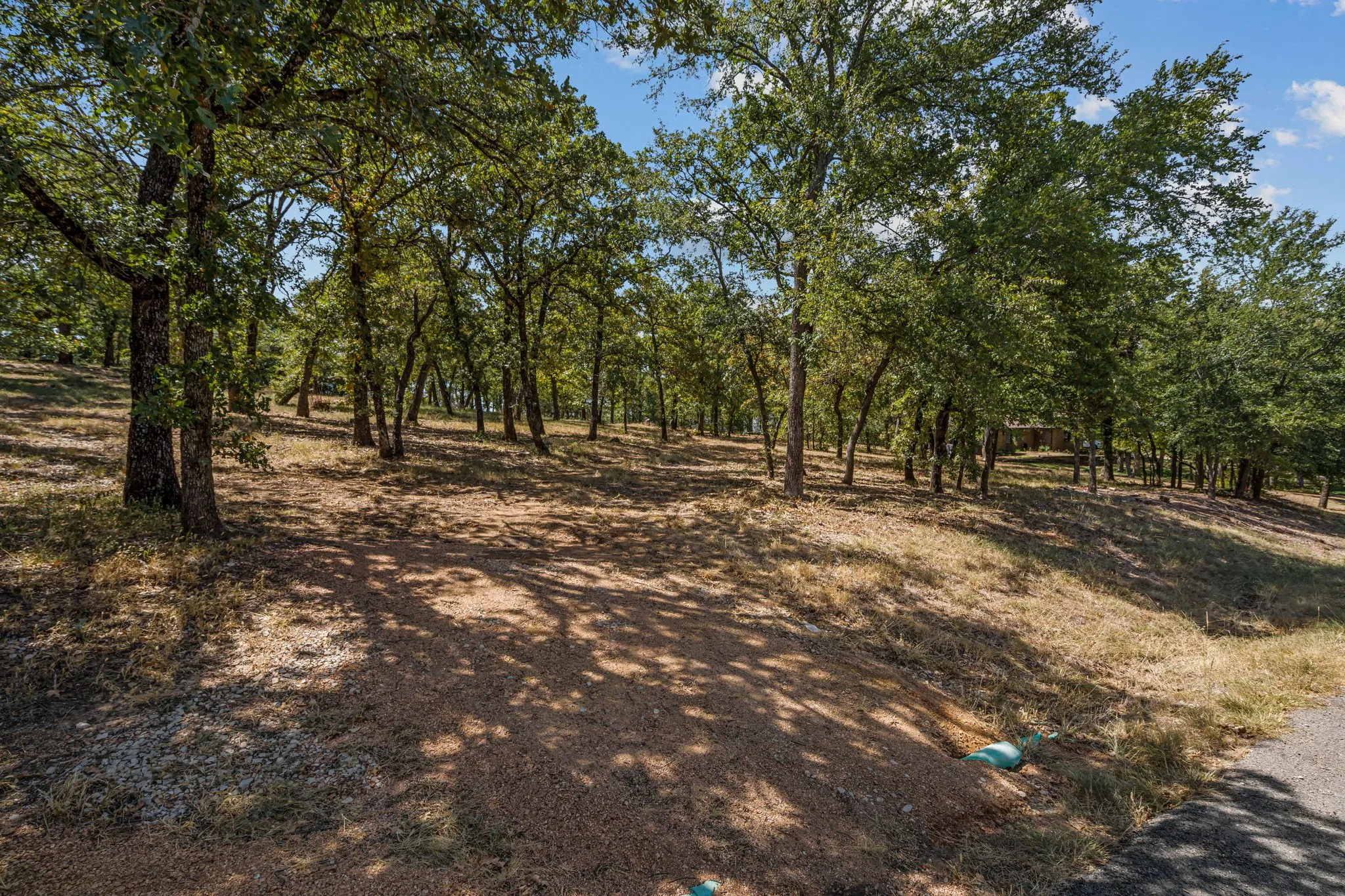 Unimproved Land For Sale in Denton County , 4215 Ada Drive, Flower Mound, Texas 75022, 0, 0, Garage spaces, 0 Sqft, built in 0, mls#21360956, Real Estate Agent in Flower Mound, Homes For Sale in Denton county, Homes For Sale in Flower Mound, Realtor in Flower Mound Texas, Real Estate Brokerage Independent Realty Texas, Luminita Cordes Realtor
