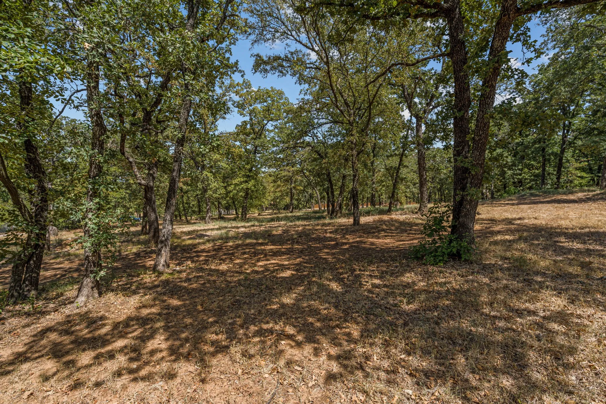 Unimproved Land For Sale in Denton County , 4215 Ada Drive, Flower Mound, Texas 75022, 0, 0, Garage spaces, 0 Sqft, built in 0, mls#21360956, Real Estate Agent in Flower Mound, Homes For Sale in Denton county, Homes For Sale in Flower Mound, Realtor in Flower Mound Texas, Real Estate Brokerage Independent Realty Texas, Luminita Cordes Realtor