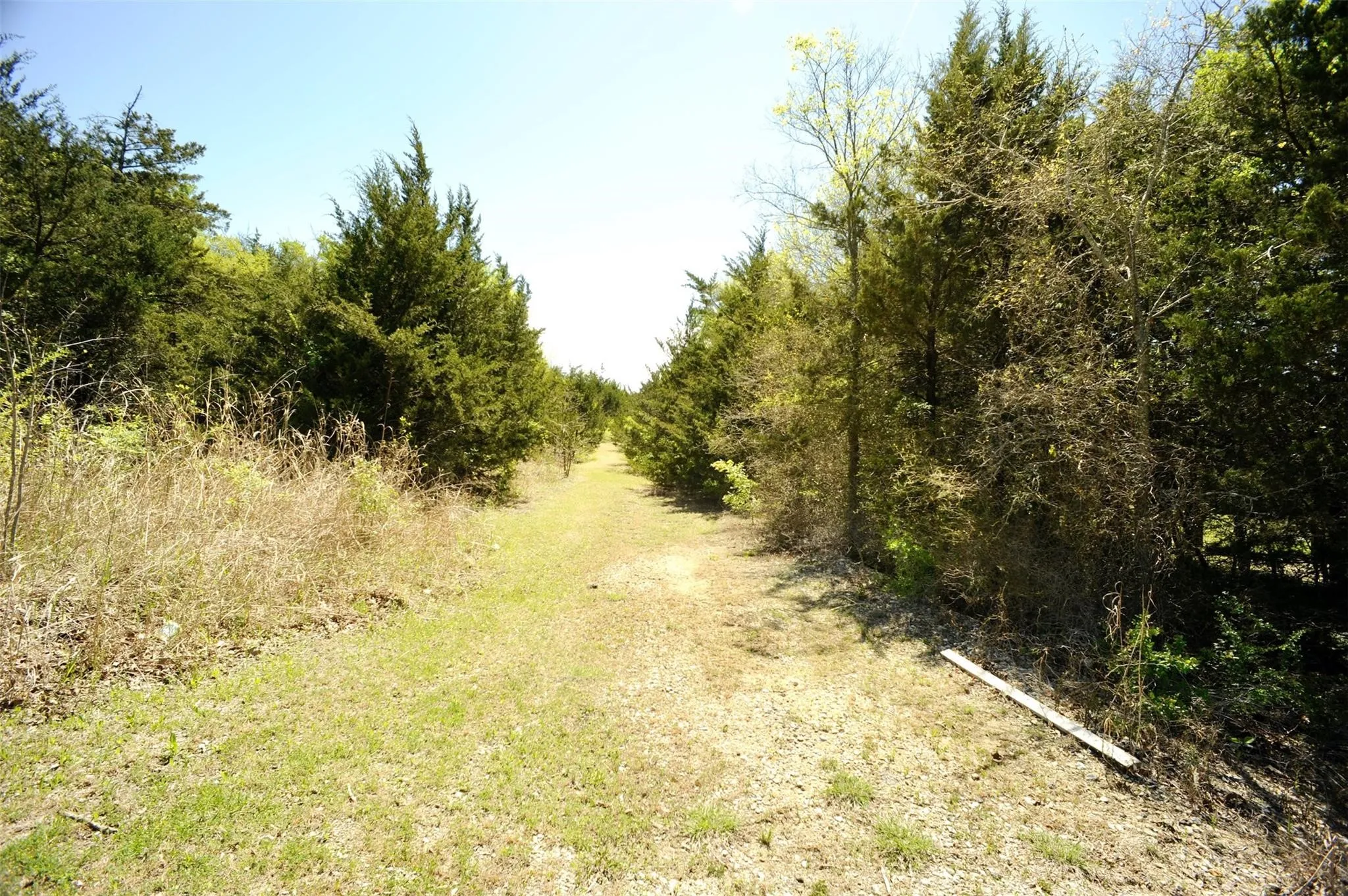 Unimproved Land For Sale in Grayson County , 2830 Fm 691, Sherman, Texas 75090, 0, 0, Garage spaces, 0 Sqft, built in 1925, Price $790,000, mls#21346694, Real Estate Agent in Sherman, Homes For Sale in Grayson county, Homes For Sale in Sherman, Realtor in Sherman Texas, Real Estate Brokerage Independent Realty Texas, Luminita Cordes Realtor