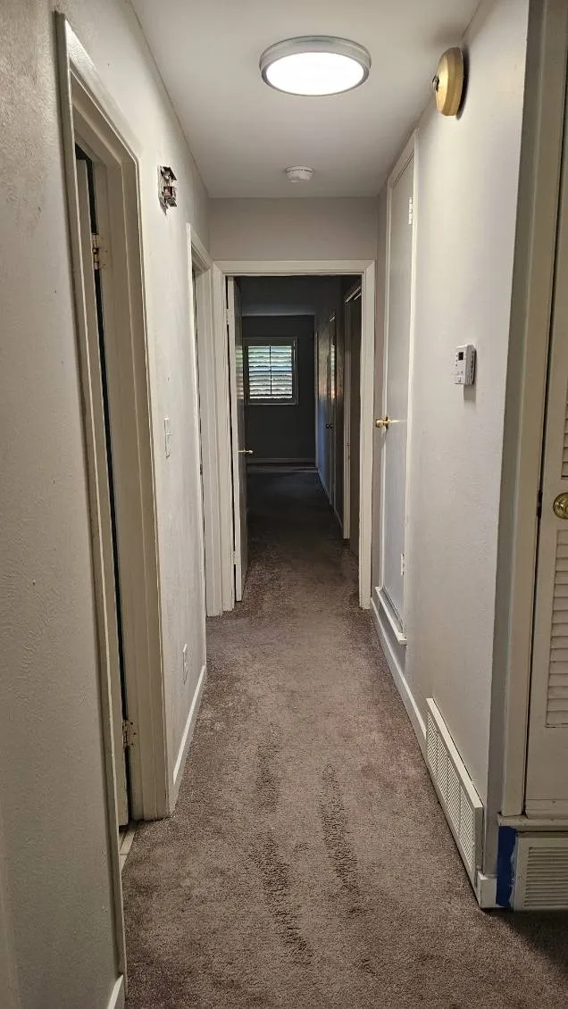 Hallway featuring neutral-toned carpeting, flush-mount ceiling light, and white trim