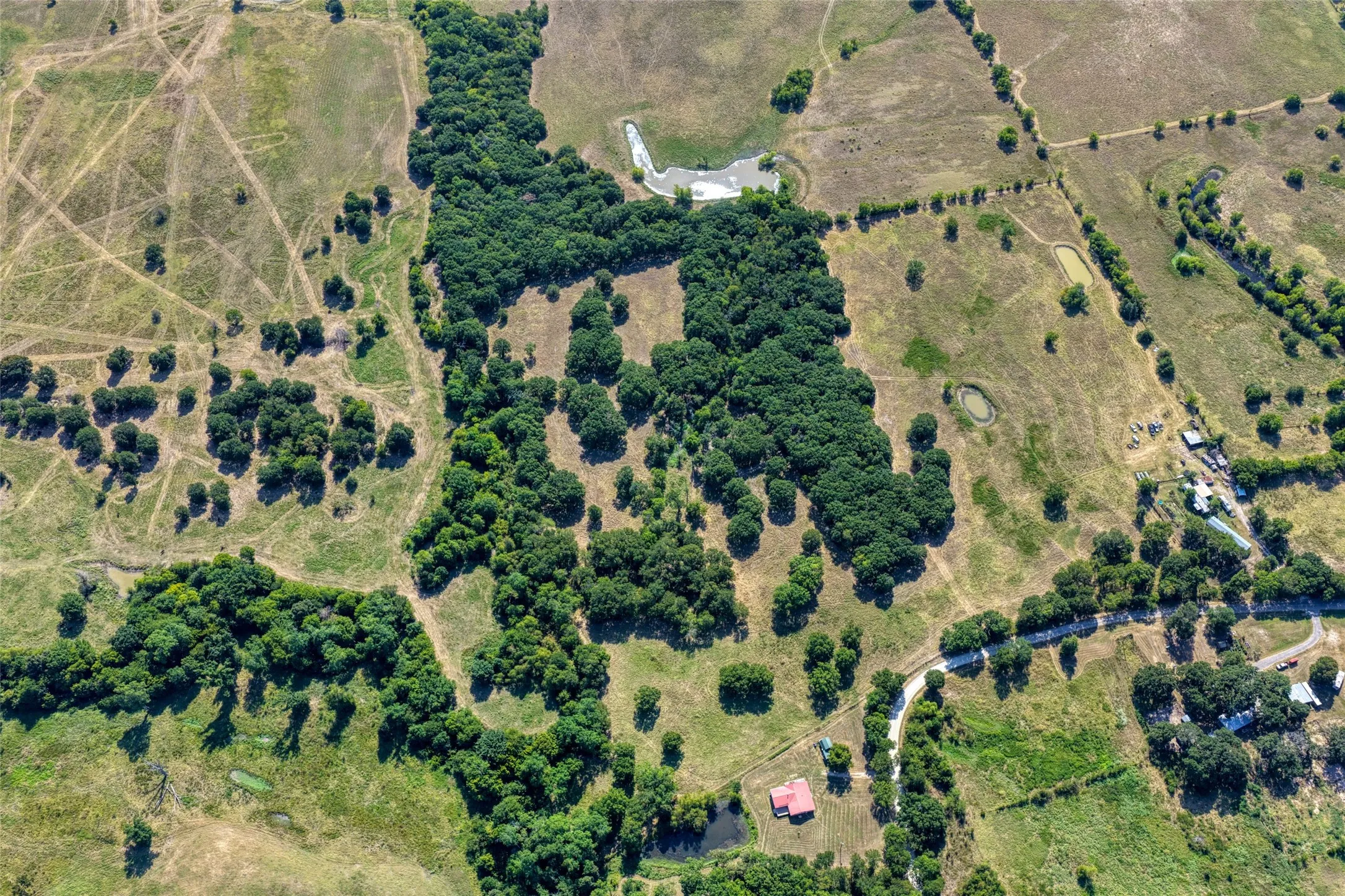 Unimproved Land For Sale in Hunt County , 5010 County Road 3110, Campbell, Texas 75422, 0, 0, Garage spaces, 0 Sqft, built in 0, mls#21363908, Real Estate Agent in Campbell, Homes For Sale in Hunt county, Homes For Sale in Campbell, Realtor in Campbell Texas, Real Estate Brokerage Independent Realty Texas, Luminita Cordes Realtor