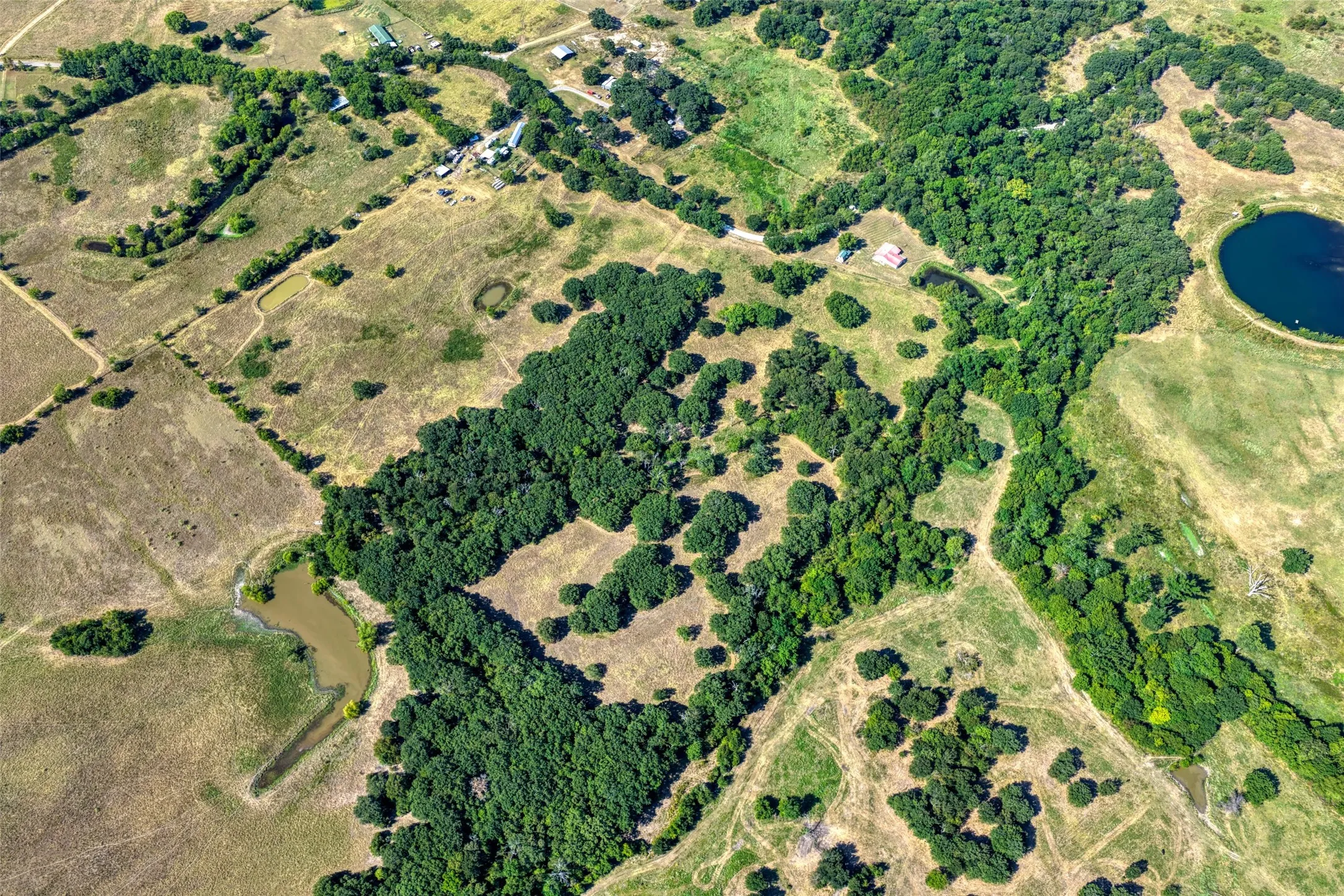 Unimproved Land For Sale in Hunt County , 5010 County Road 3110, Campbell, Texas 75422, 0, 0, Garage spaces, 0 Sqft, built in 0, mls#21363908, Real Estate Agent in Campbell, Homes For Sale in Hunt county, Homes For Sale in Campbell, Realtor in Campbell Texas, Real Estate Brokerage Independent Realty Texas, Luminita Cordes Realtor