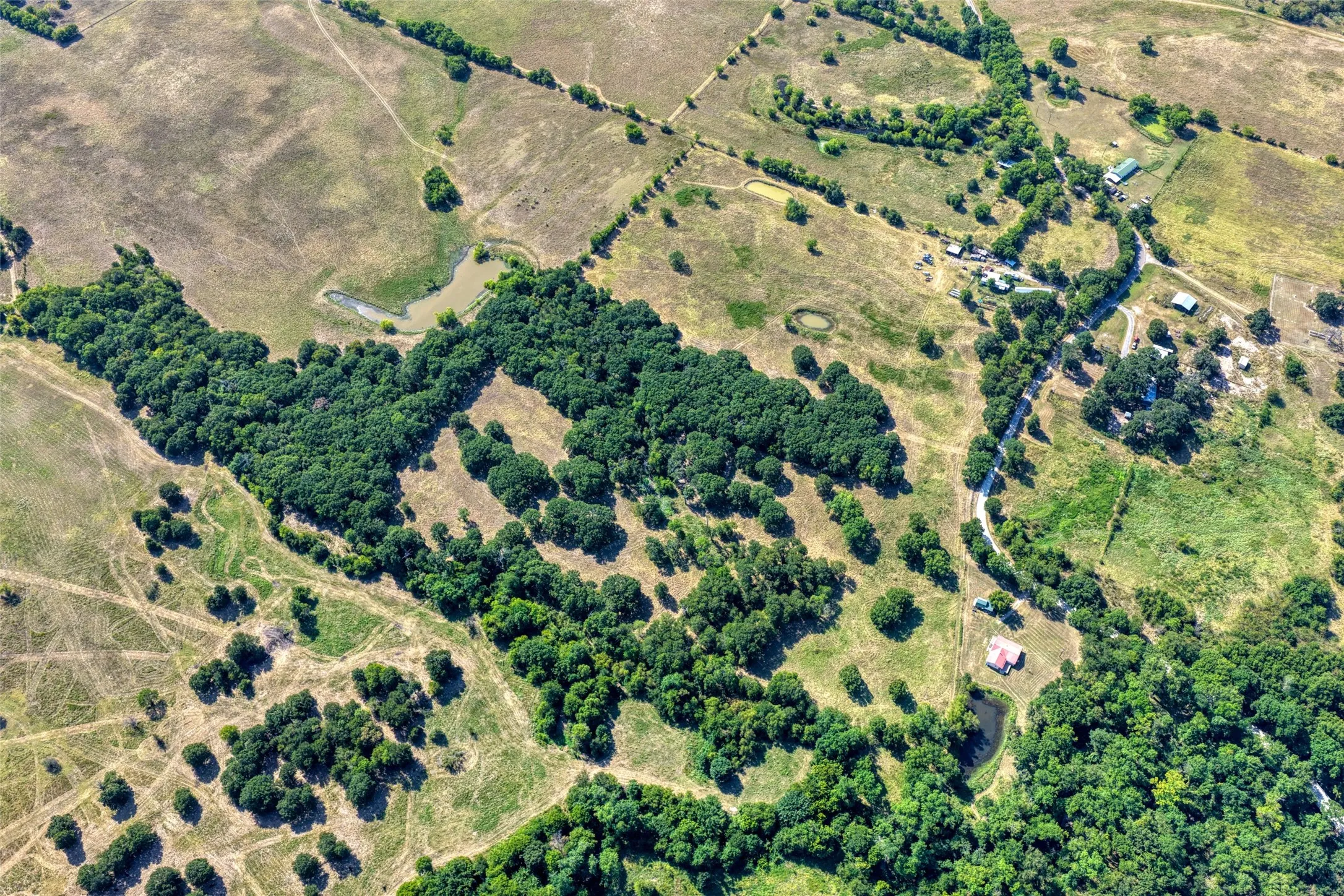 Unimproved Land For Sale in Hunt County , 5010 County Road 3110, Campbell, Texas 75422, 0, 0, Garage spaces, 0 Sqft, built in 0, mls#21363908, Real Estate Agent in Campbell, Homes For Sale in Hunt county, Homes For Sale in Campbell, Realtor in Campbell Texas, Real Estate Brokerage Independent Realty Texas, Luminita Cordes Realtor