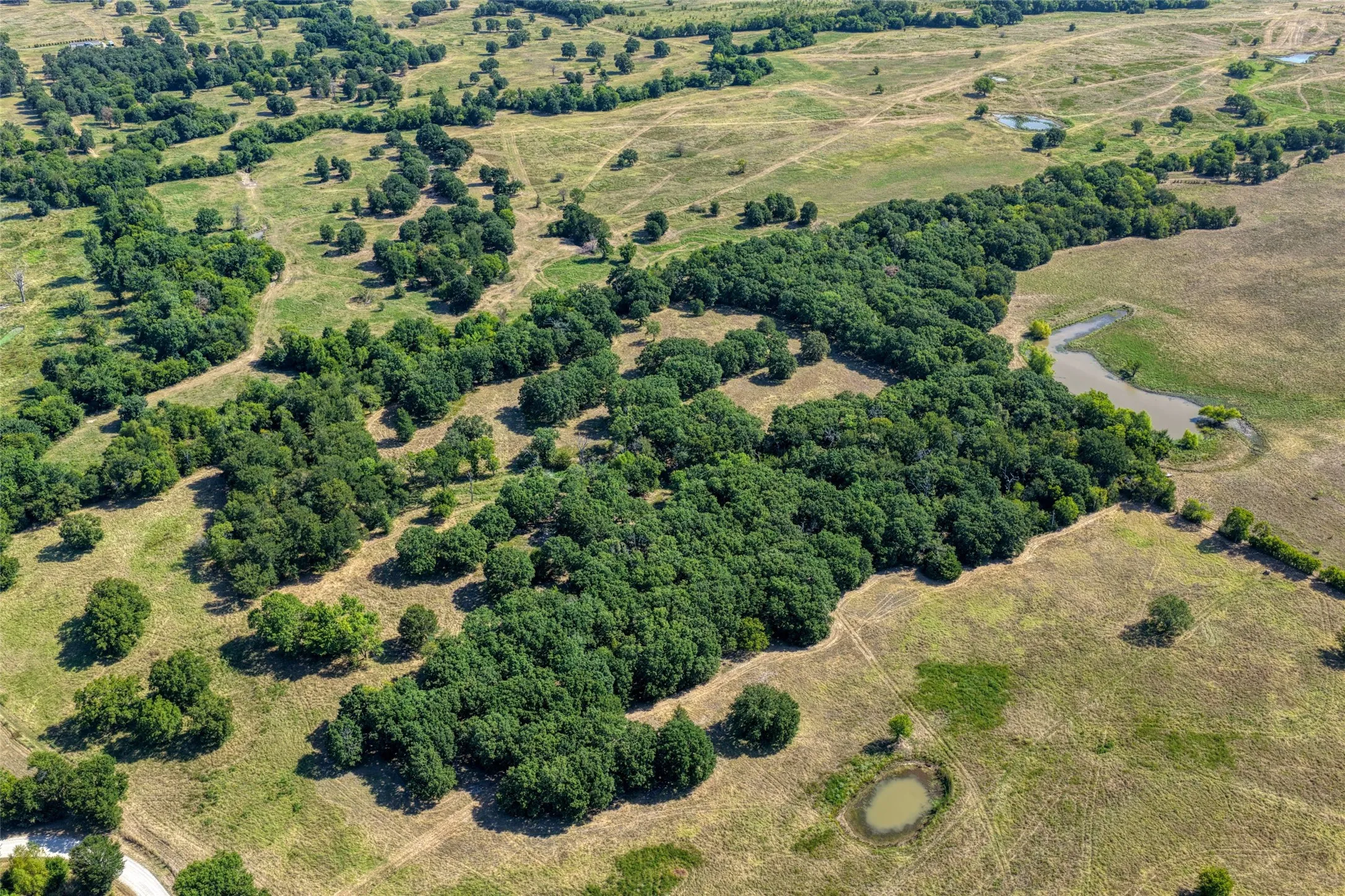 Unimproved Land For Sale in Hunt County , 5010 County Road 3110, Campbell, Texas 75422, 0, 0, Garage spaces, 0 Sqft, built in 0, mls#21363908, Real Estate Agent in Campbell, Homes For Sale in Hunt county, Homes For Sale in Campbell, Realtor in Campbell Texas, Real Estate Brokerage Independent Realty Texas, Luminita Cordes Realtor