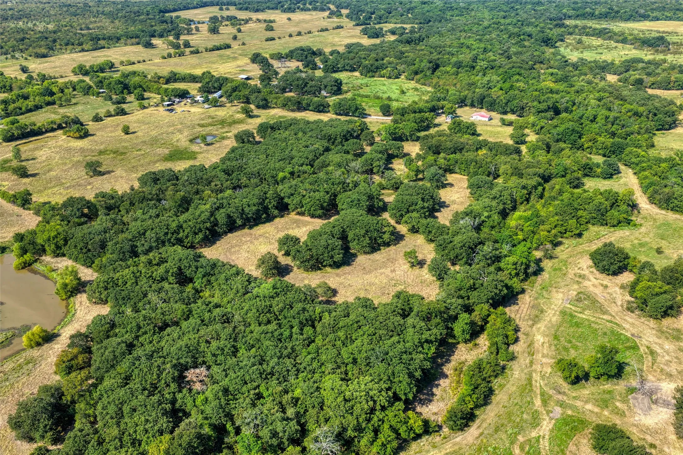 Unimproved Land For Sale in Hunt County , 5010 County Road 3110, Campbell, Texas 75422, 0, 0, Garage spaces, 0 Sqft, built in 0, mls#21363908, Real Estate Agent in Campbell, Homes For Sale in Hunt county, Homes For Sale in Campbell, Realtor in Campbell Texas, Real Estate Brokerage Independent Realty Texas, Luminita Cordes Realtor