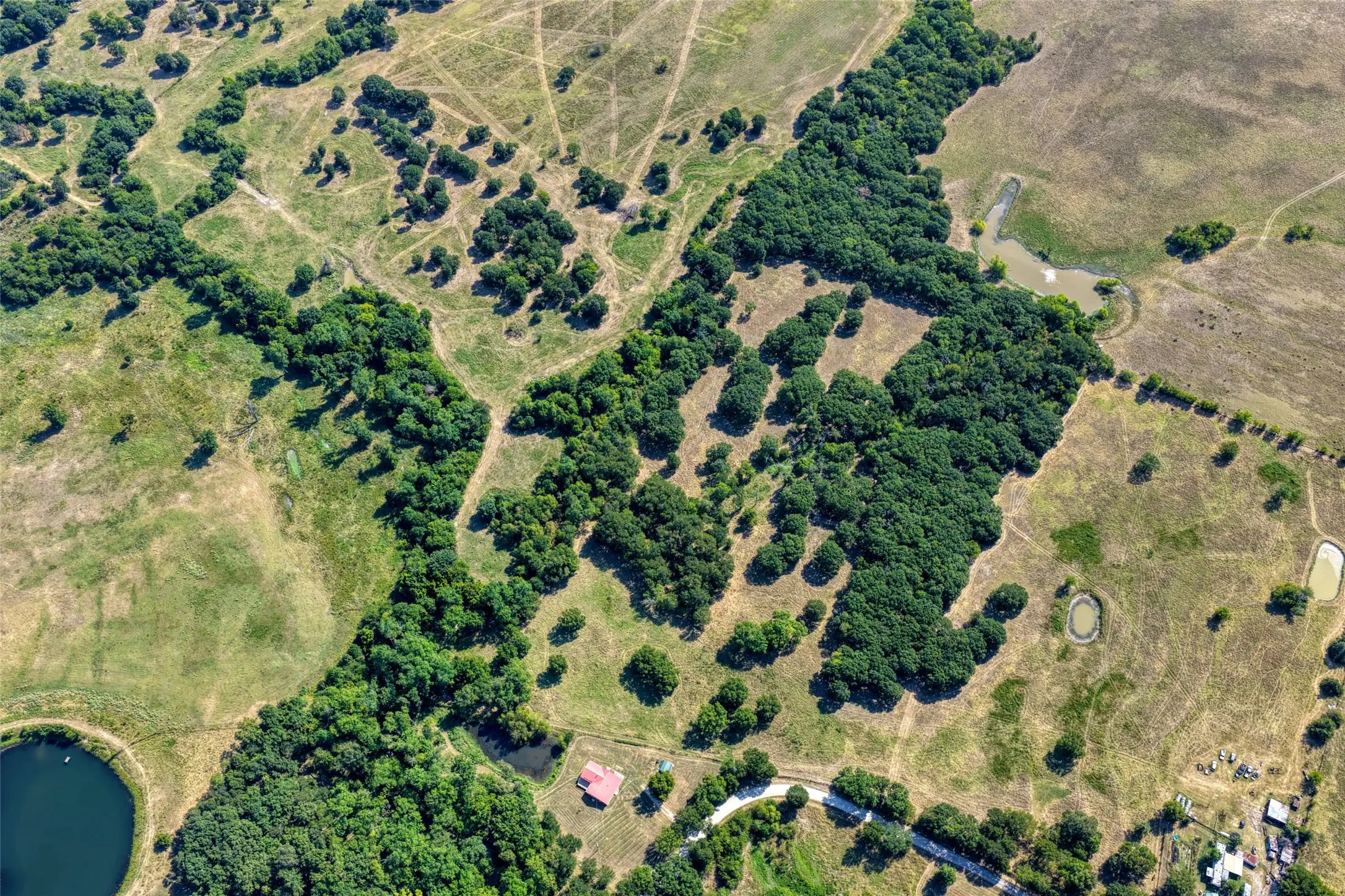 Unimproved Land For Sale in Hunt County , 5010 County Road 3110, Campbell, Texas 75422, 0, 0, Garage spaces, 0 Sqft, built in 0, mls#21363908, Real Estate Agent in Campbell, Homes For Sale in Hunt county, Homes For Sale in Campbell, Realtor in Campbell Texas, Real Estate Brokerage Independent Realty Texas, Luminita Cordes Realtor