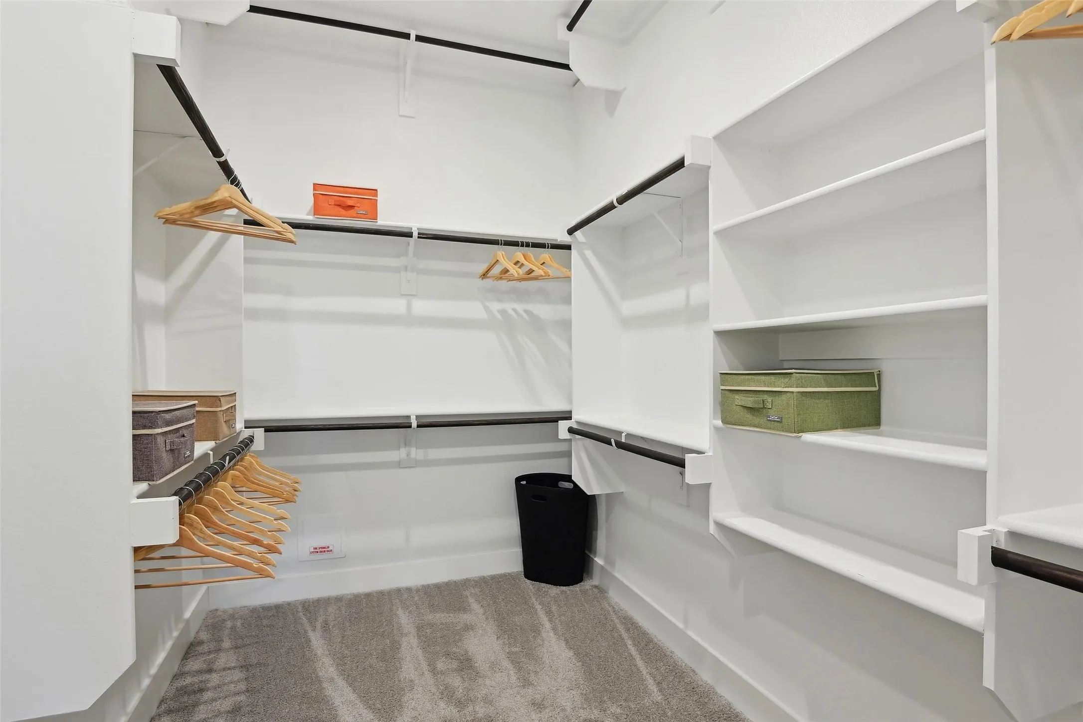 Built-in shelving, multiple hanging rods, white finishes, and carpet flooring