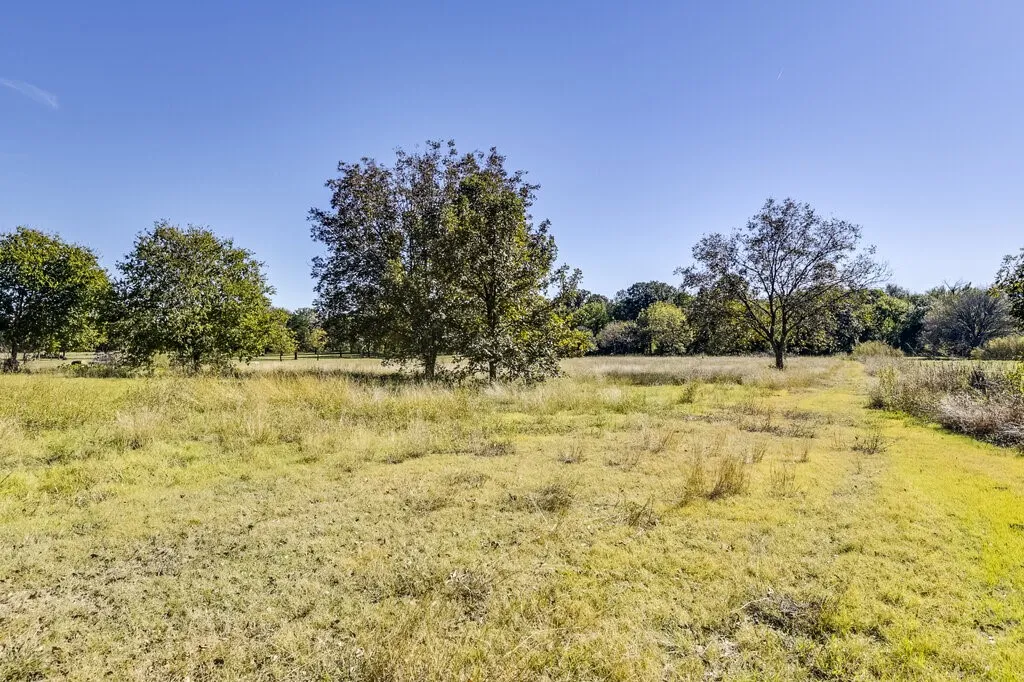 View of the Back Acreage of the Property - Beautiful and Serene Creek Waiting Behind the Tree Line.
