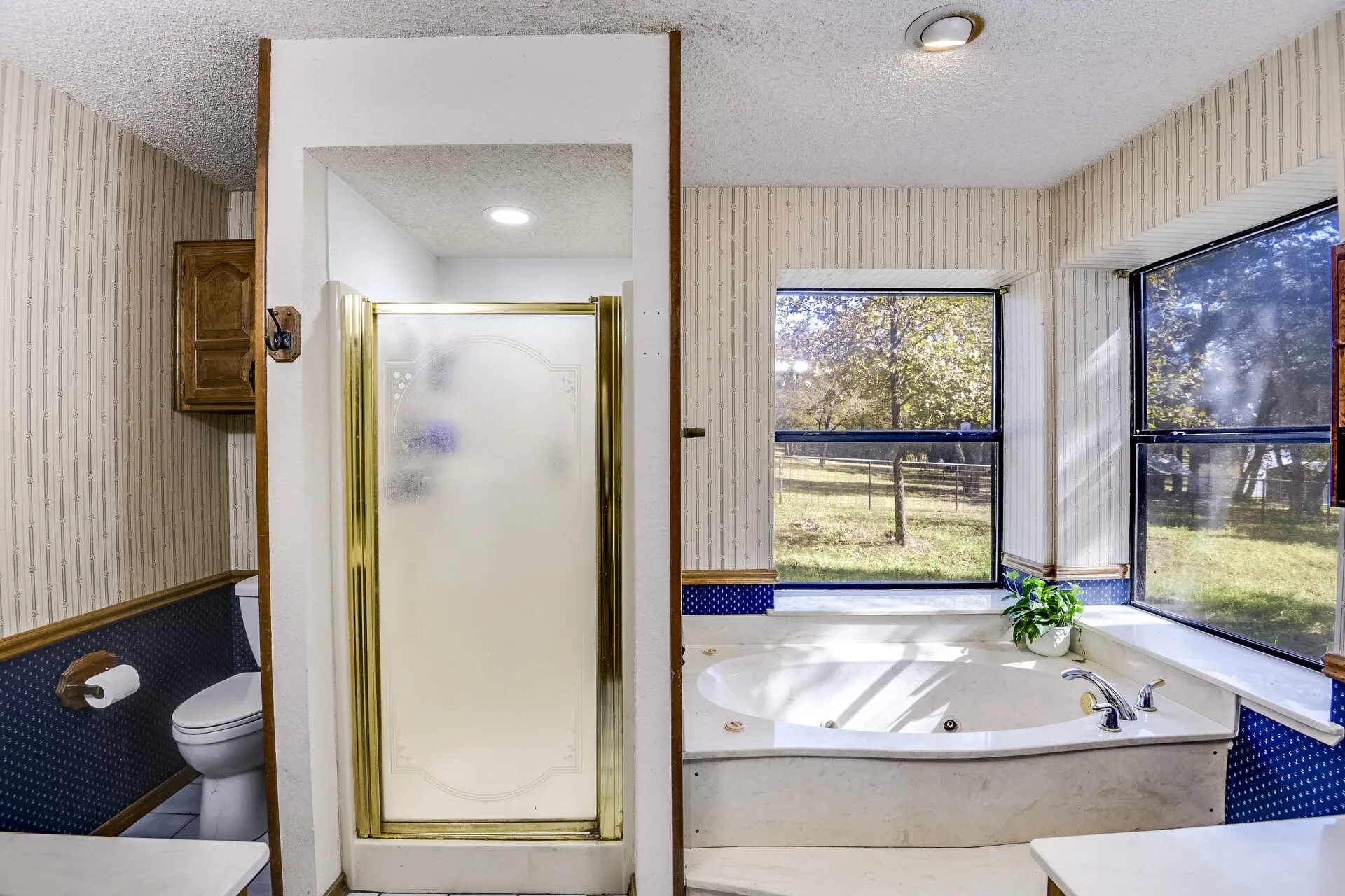 Master Bathroom - Large Windows - Jet Tub