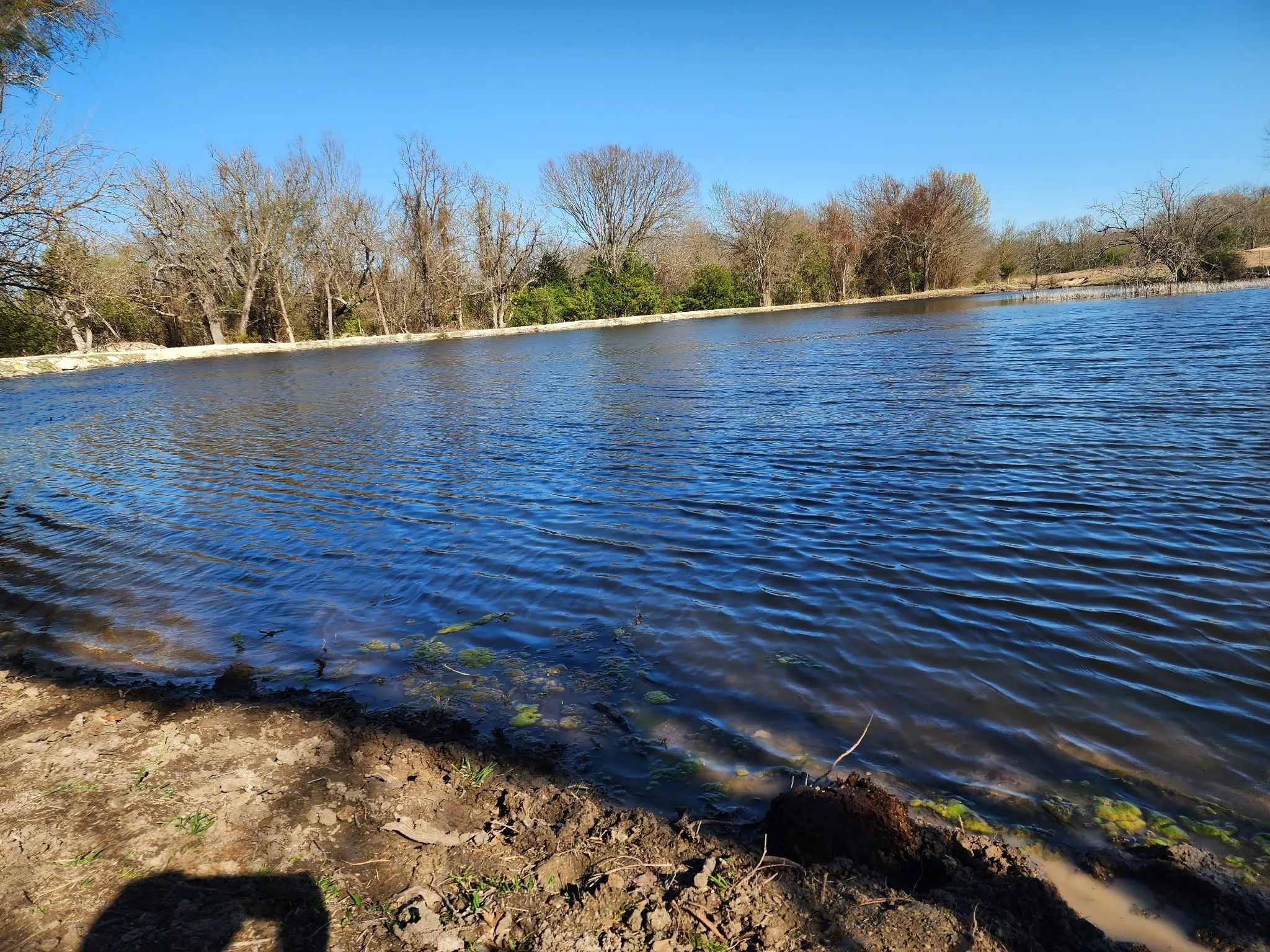 Unimproved Land For Sale in Fannin County , 2126 County Road 3035, Bonham, Texas 75418, 0, 0, Garage spaces, 0 Sqft, built in 0, mls#21364072, Real Estate Agent in Bonham, Homes For Sale in Fannin county, Homes For Sale in Bonham, Realtor in Bonham Texas, Real Estate Brokerage Independent Realty Texas, Luminita Cordes Realtor