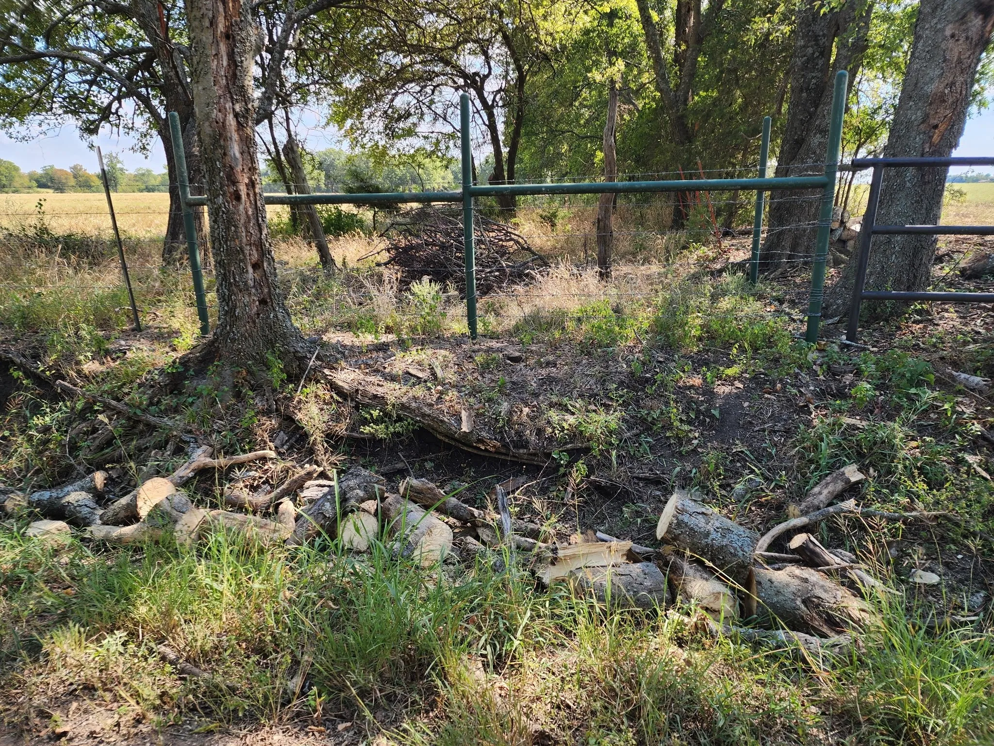 Unimproved Land For Sale in Fannin County , 2126 County Road 3035, Bonham, Texas 75418, 0, 0, Garage spaces, 0 Sqft, built in 0, mls#21364072, Real Estate Agent in Bonham, Homes For Sale in Fannin county, Homes For Sale in Bonham, Realtor in Bonham Texas, Real Estate Brokerage Independent Realty Texas, Luminita Cordes Realtor