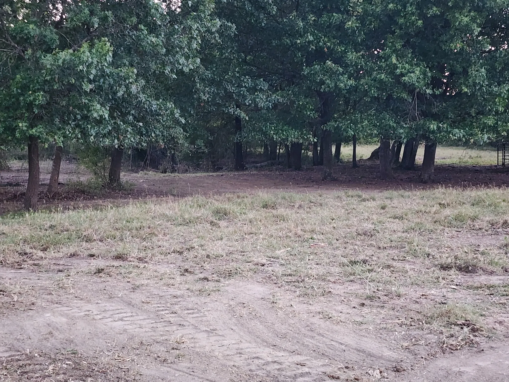 Unimproved Land For Sale in Fannin County , 2126 County Road 3035, Bonham, Texas 75418, 0, 0, Garage spaces, 0 Sqft, built in 0, mls#21364072, Real Estate Agent in Bonham, Homes For Sale in Fannin county, Homes For Sale in Bonham, Realtor in Bonham Texas, Real Estate Brokerage Independent Realty Texas, Luminita Cordes Realtor